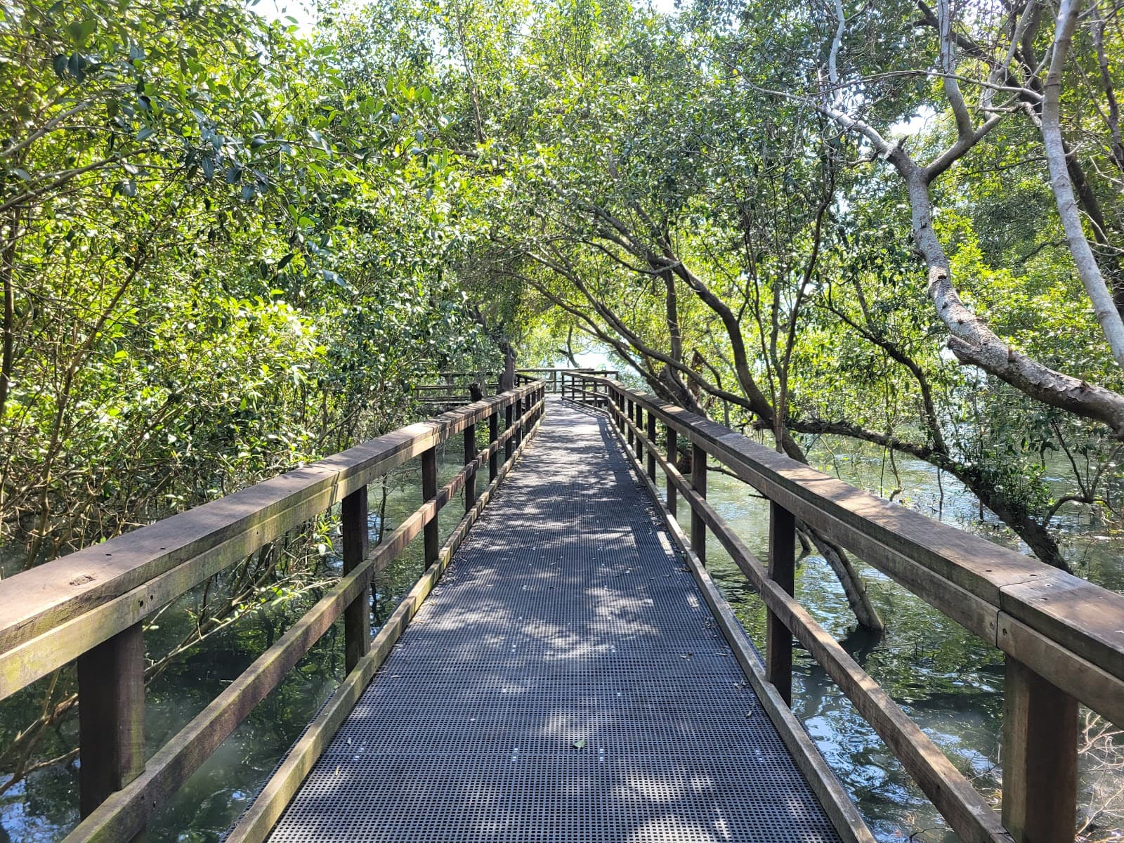 Wynnum Mangrove Boardwalk — Manly, Brisbane