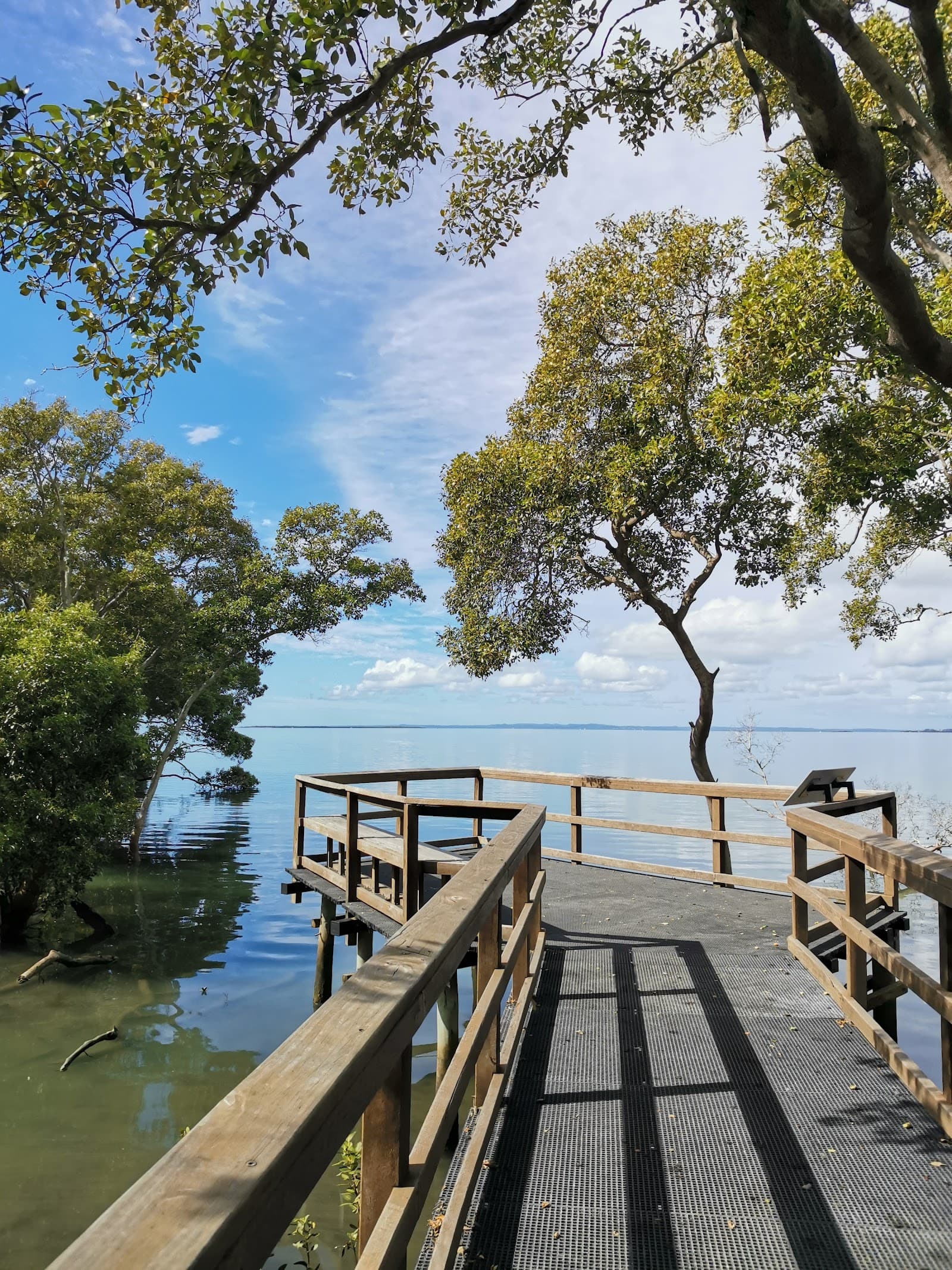 Wynnum Mangrove Boardwalk — Manly, Brisbane