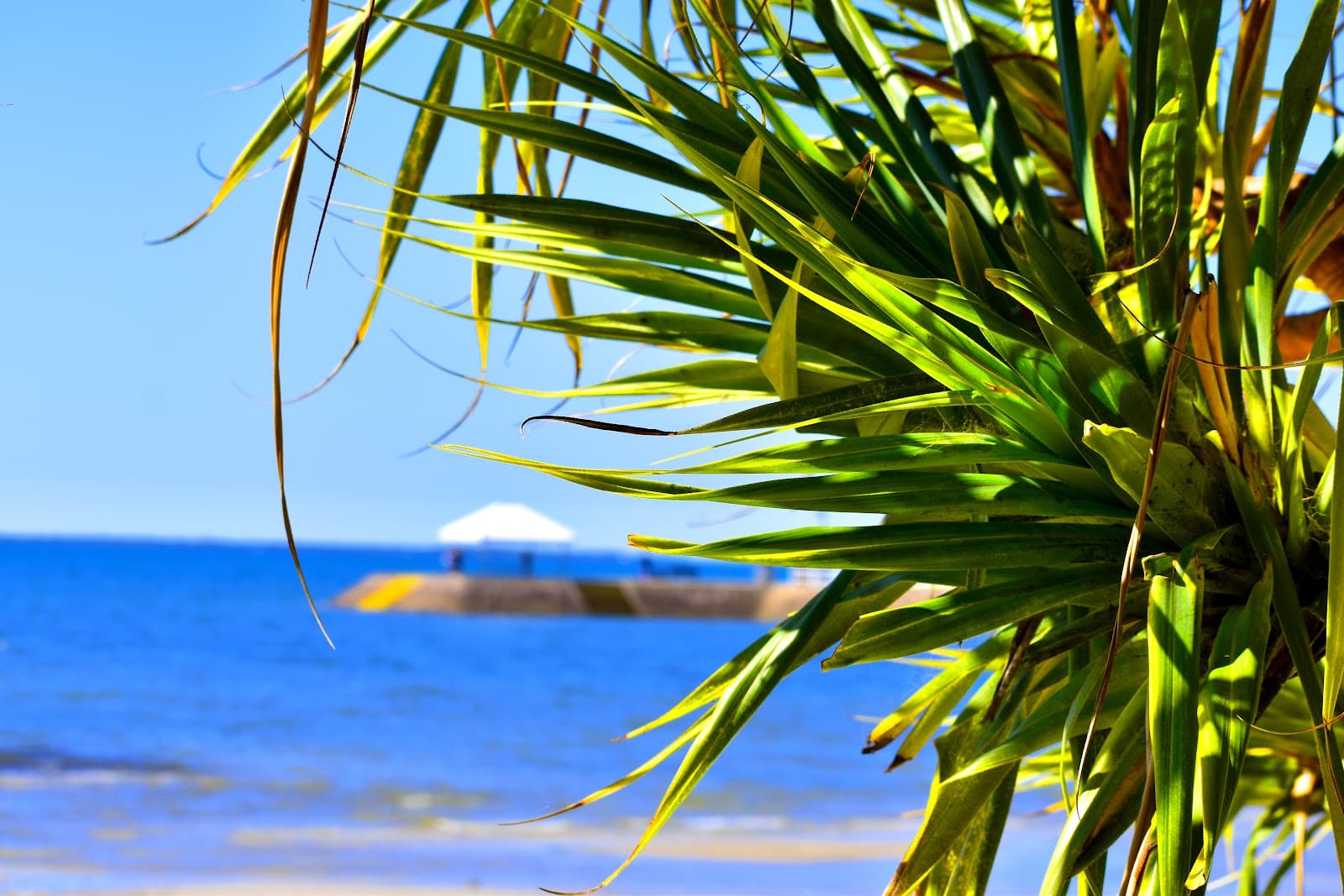 Wynnum Foreshore — Wynnum, Brisbane