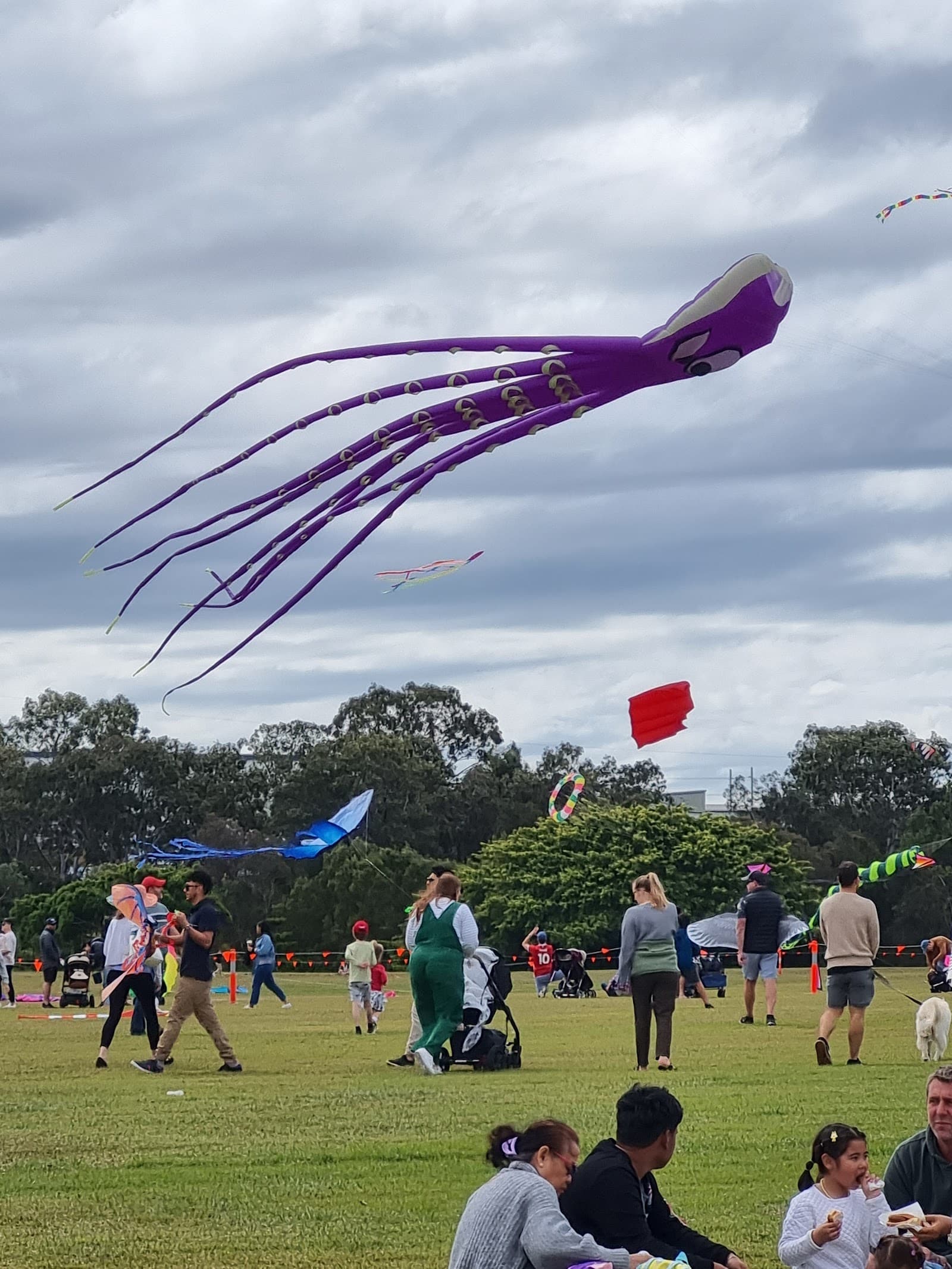 Murarrie Recreation Reserve — Wynnum, Brisbane