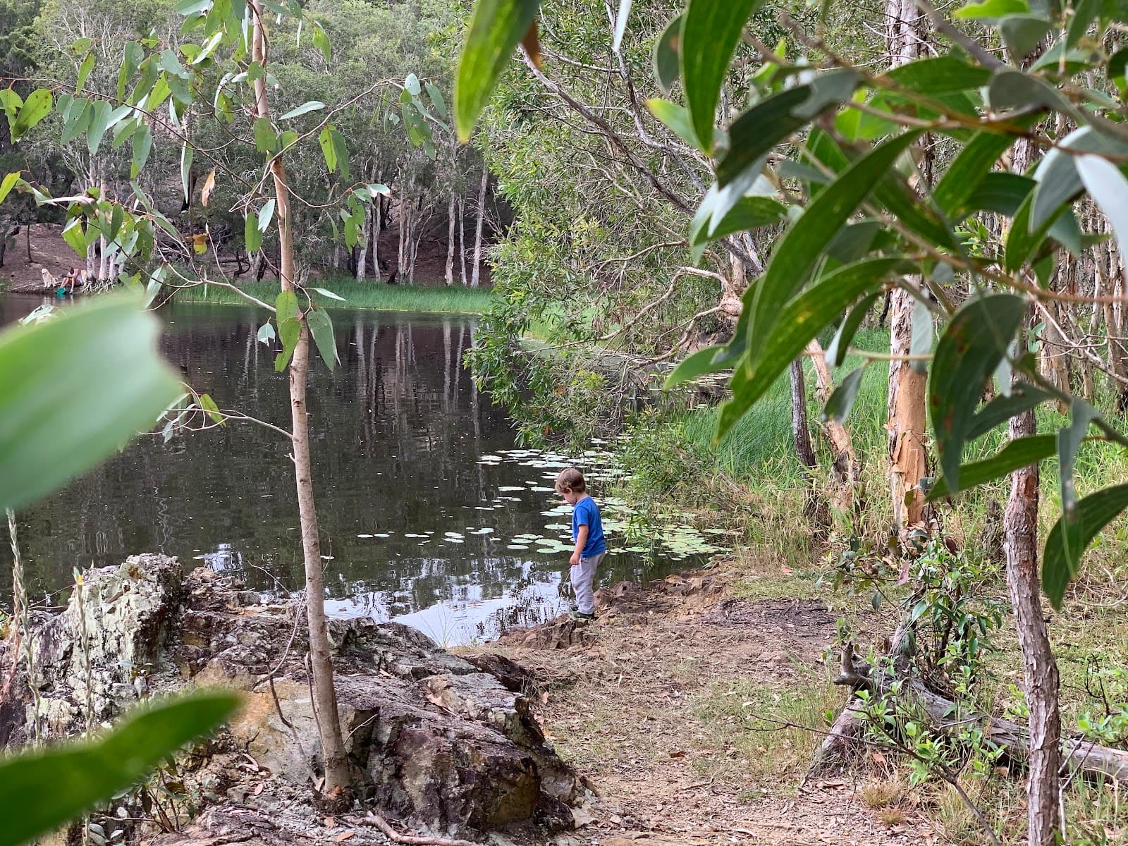 Hemmant Quarry Reserve — Wynnum, Brisbane