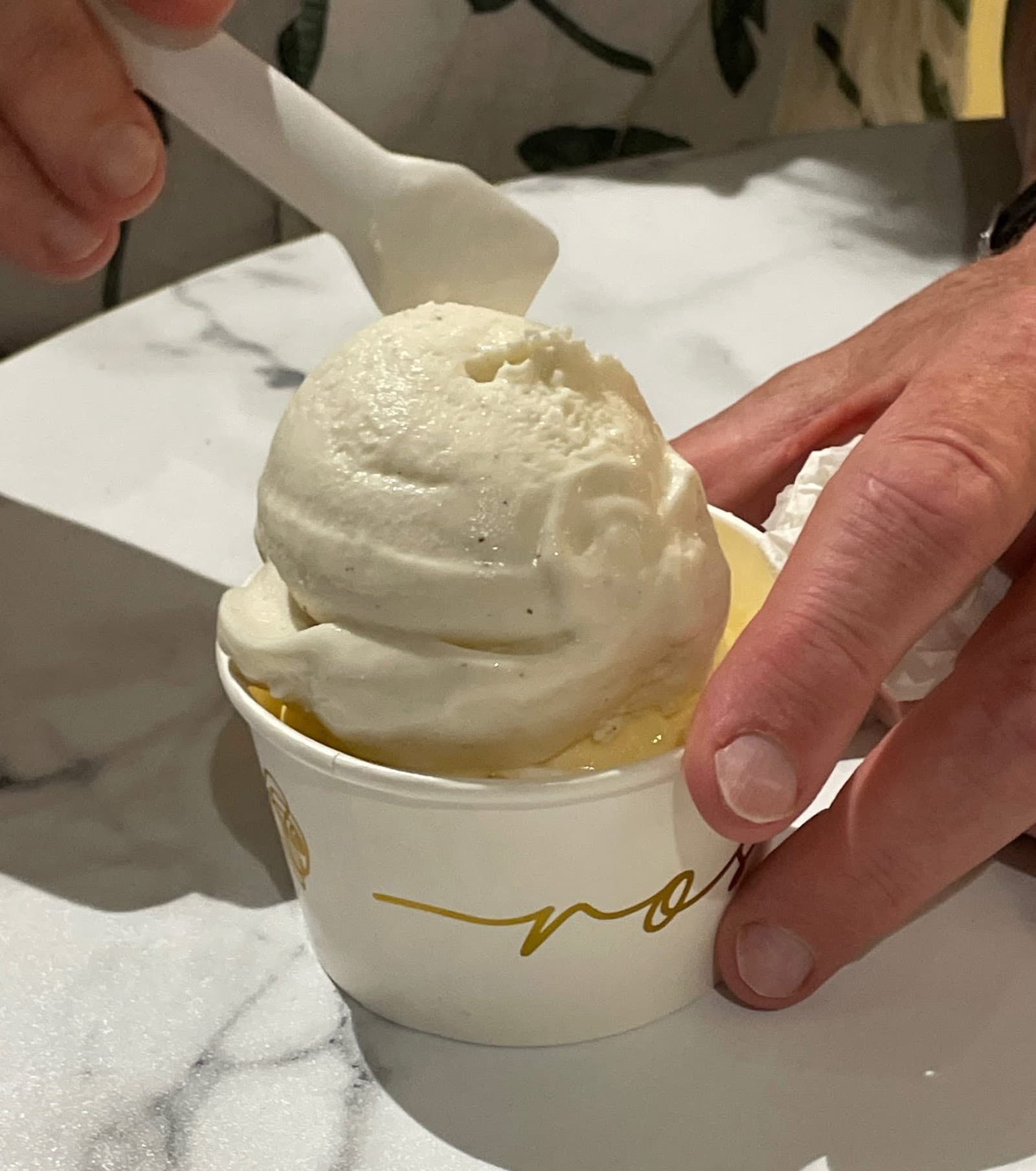 Rosé Gelateria — Hamilton, Brisbane
