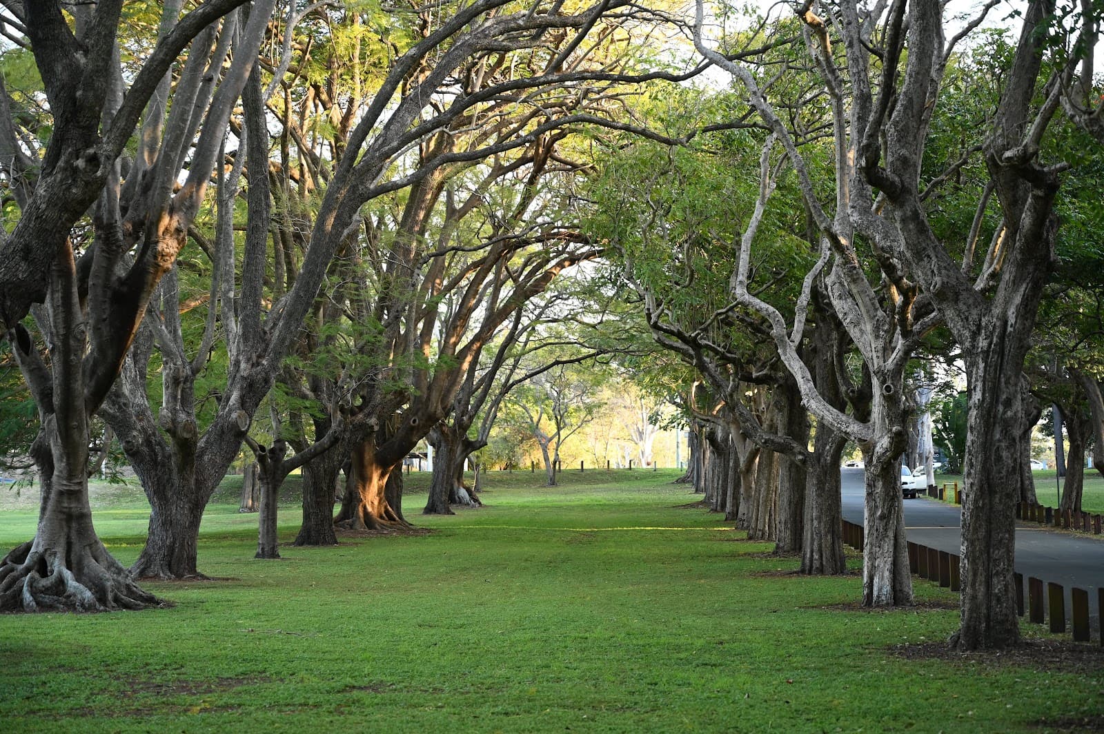 Colmslie Beach Reserve — Manly, Brisbane