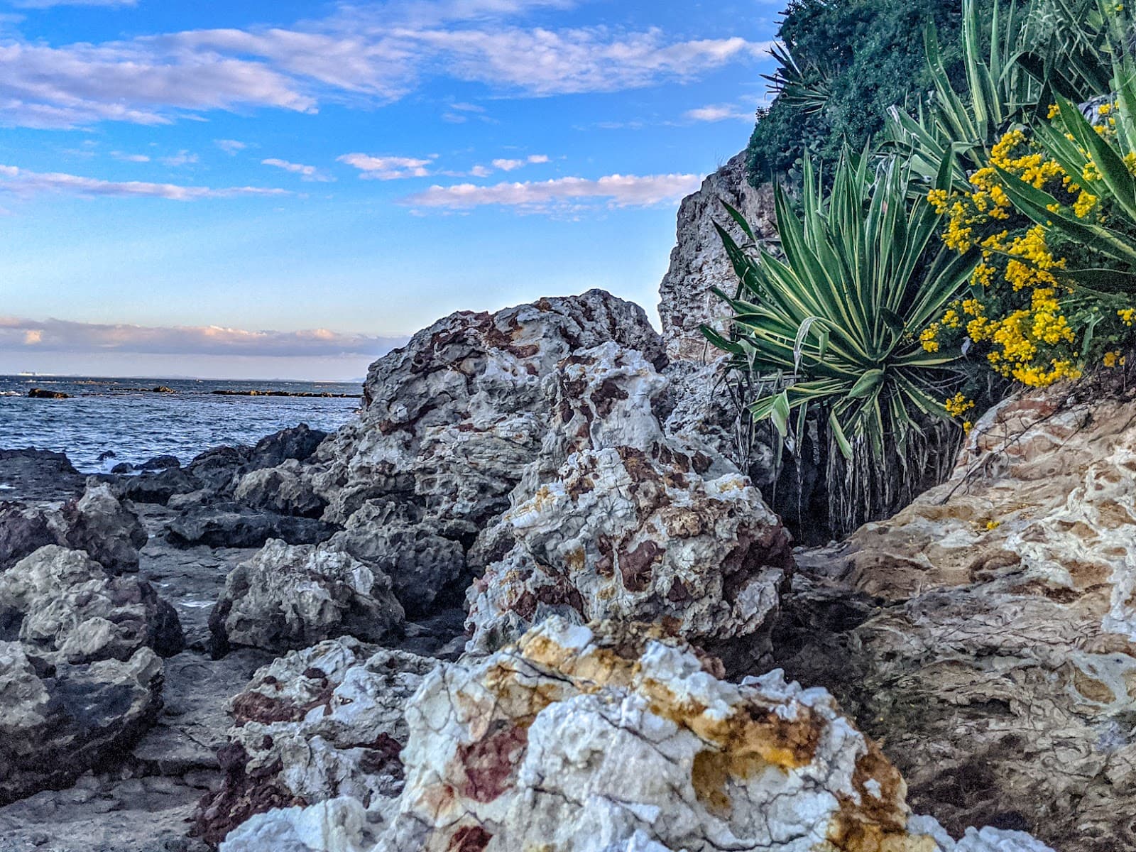 Scotts Point Beach — Chermside, Brisbane