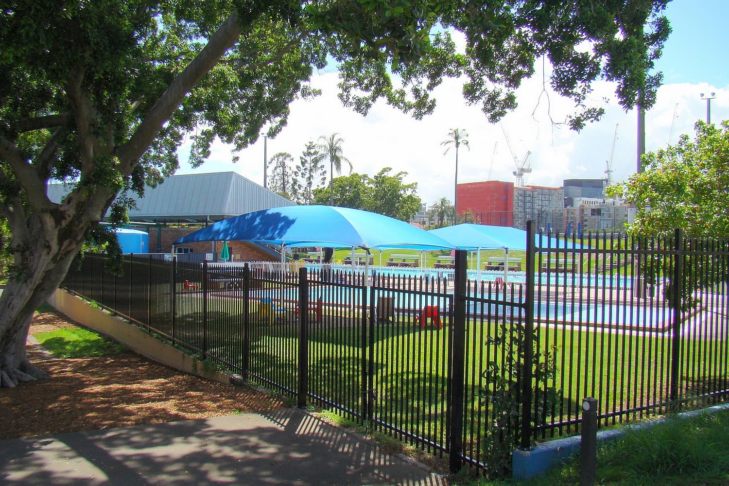 Musgrave Park Swim Centre — West End, Brisbane