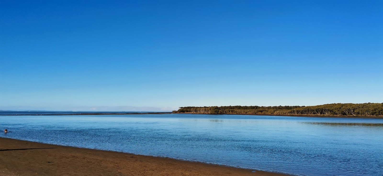 Nudgee Beach Dog Park — Wynnum, Brisbane