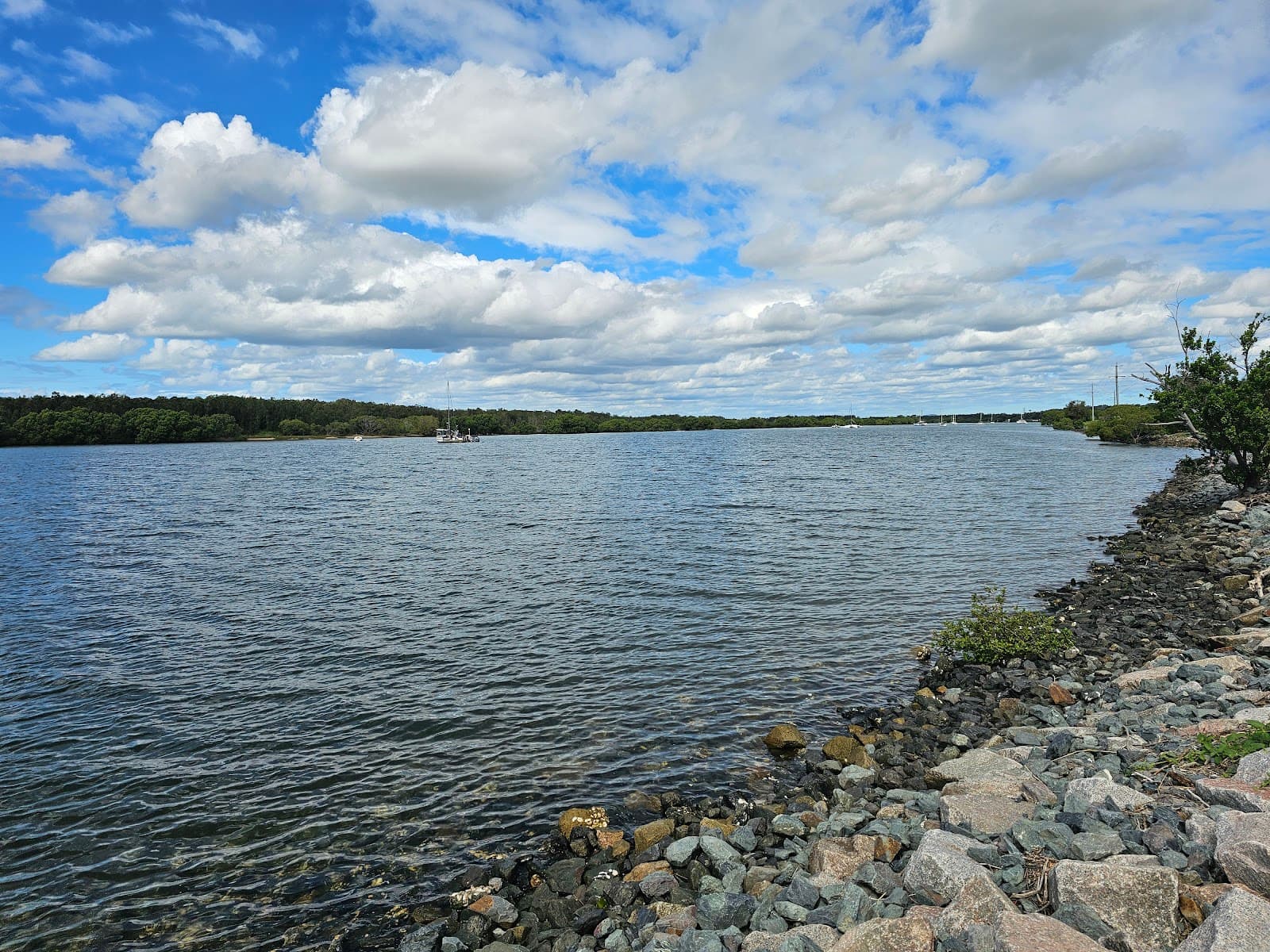 Tuckeroo Park — Nudgee Beach, Brisbane