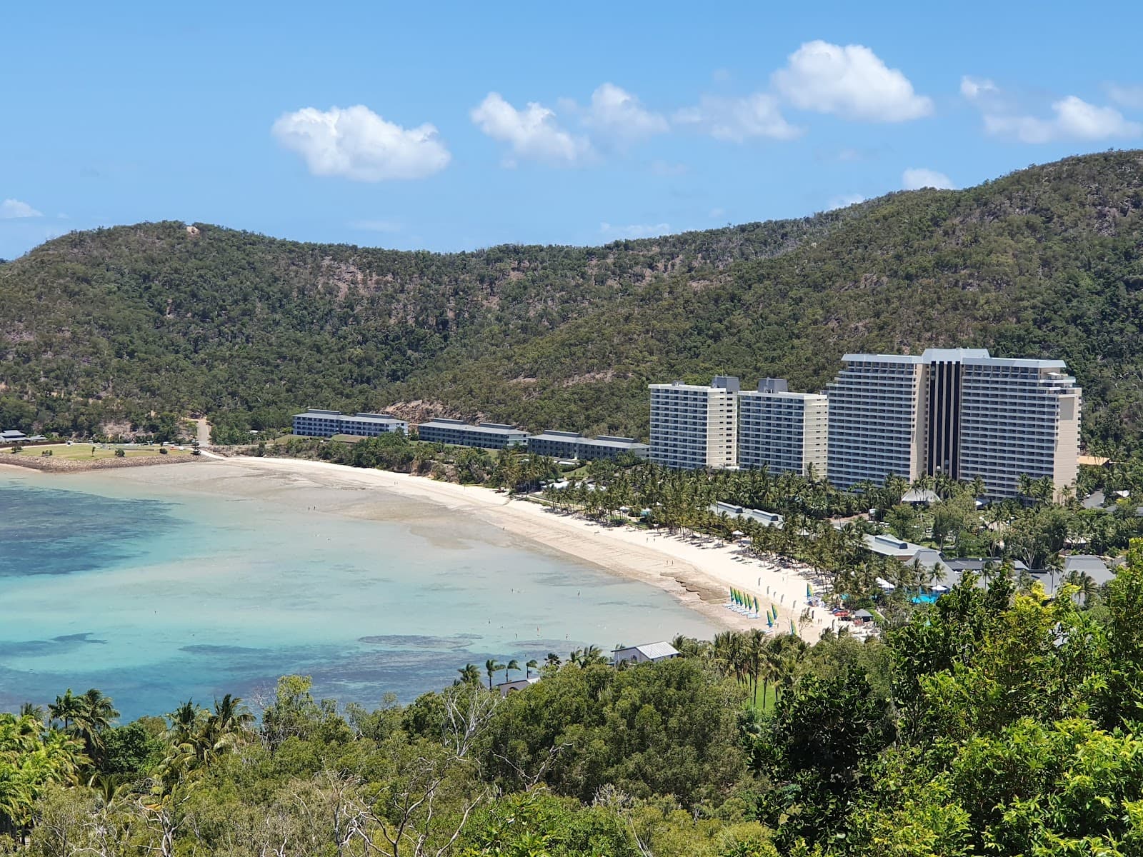 Catseye Beach — Hamilton, Brisbane