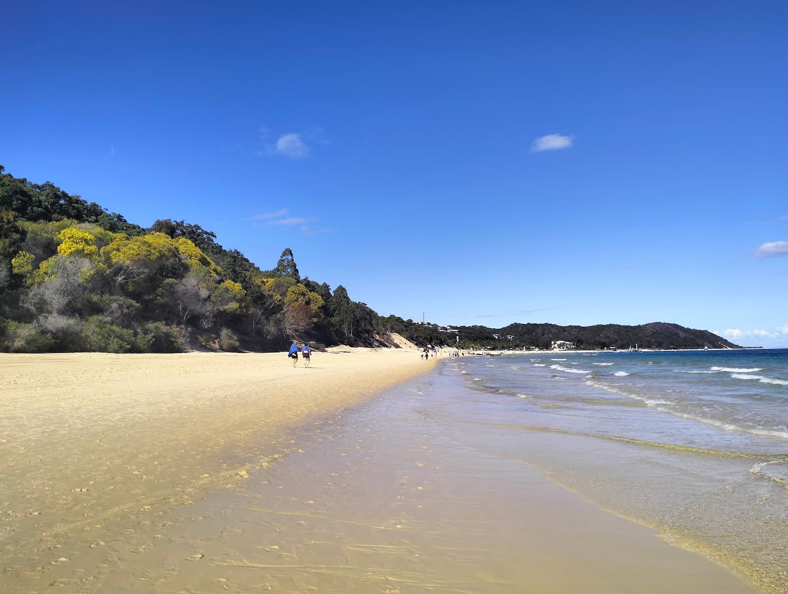 Tangalooma Beach — Indooroopilly, Brisbane