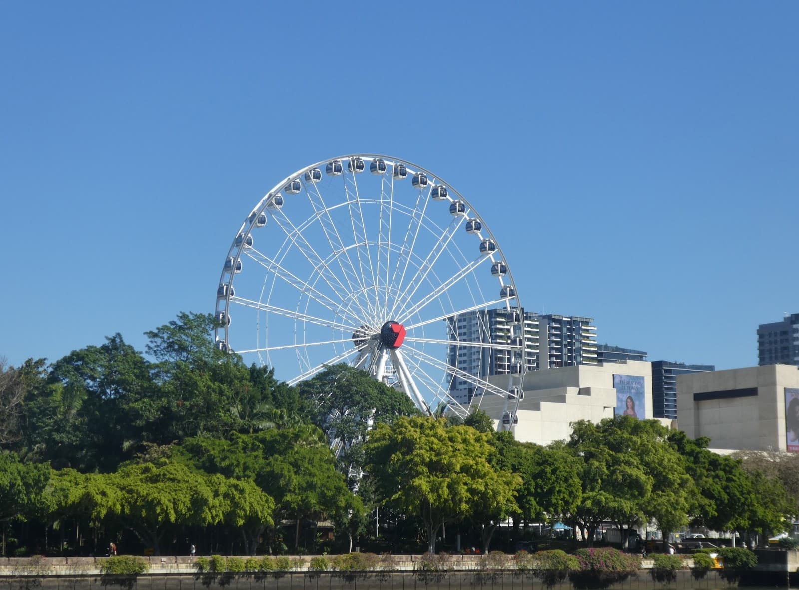 The Wheel of Brisbane — Indooroopilly, Brisbane