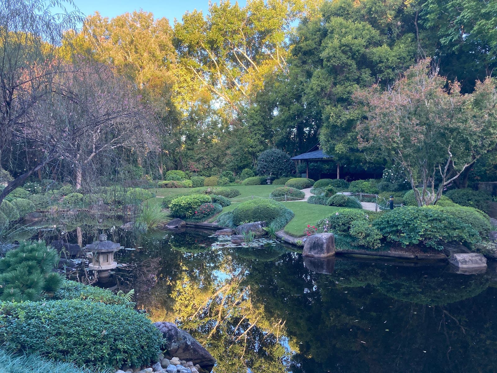 Mt Coot-tha Botanical Gardens Lookout — Toowong, Brisbane