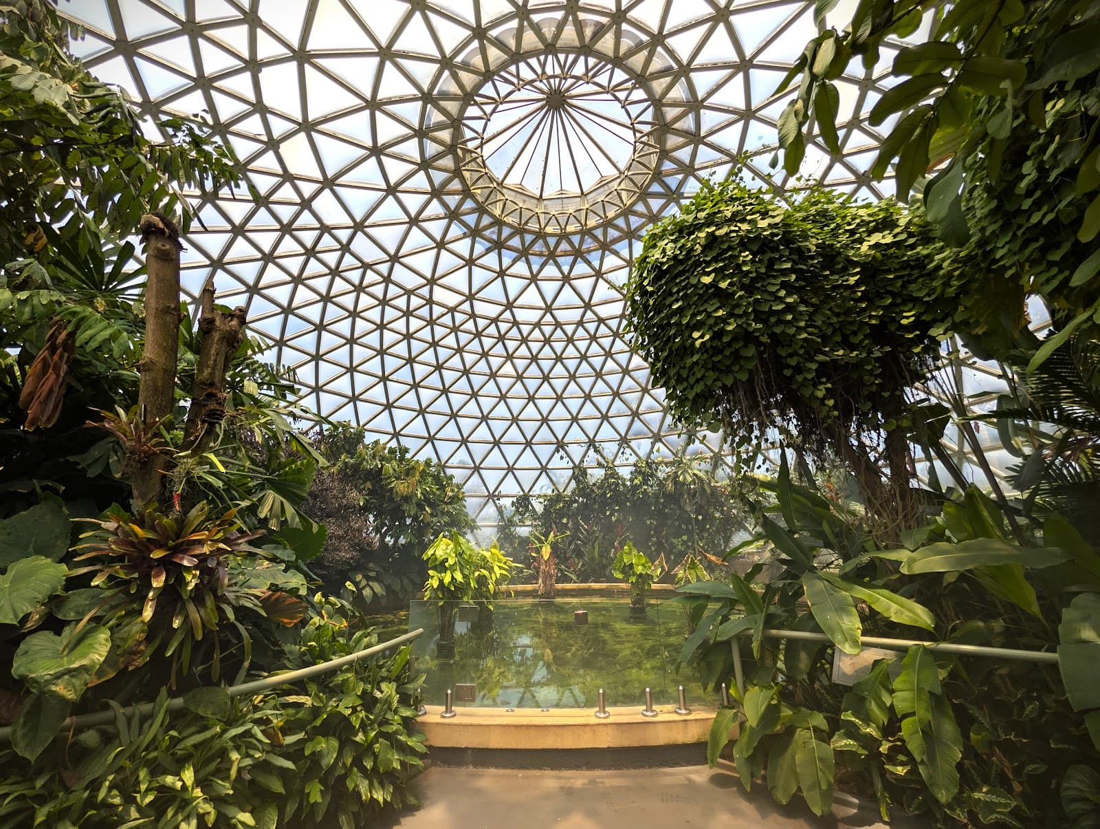 Brisbane Botanic Gardens Mt Coot-tha — Toowong, Brisbane