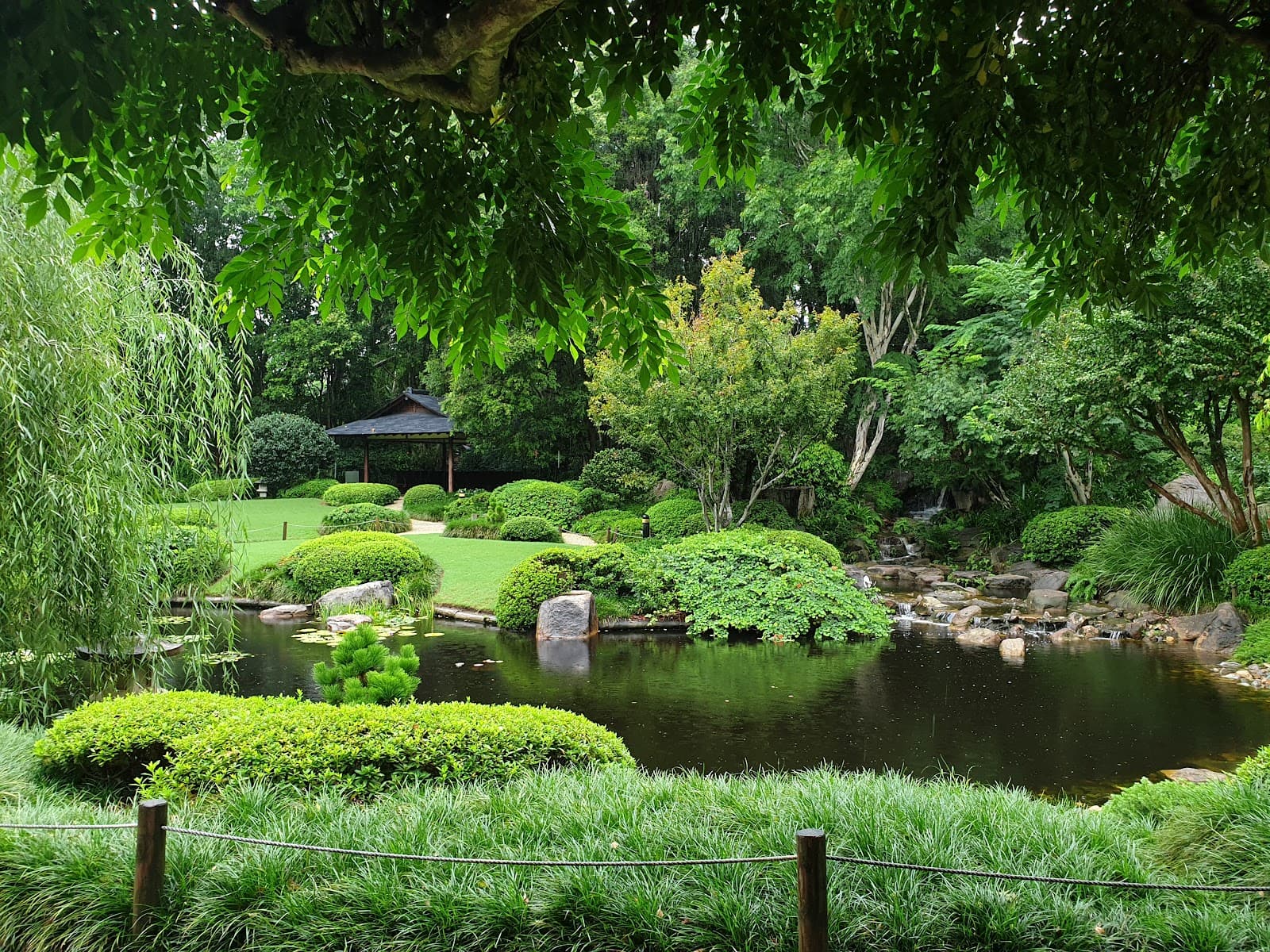 Brisbane Botanic Gardens Mt Coot-tha — Toowong, Brisbane