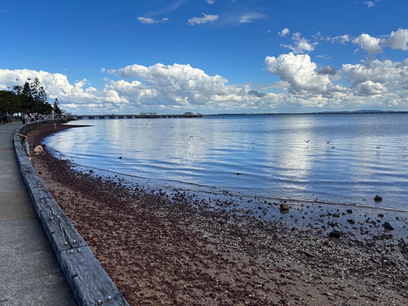 Woody Point Beach — Indooroopilly, Brisbane