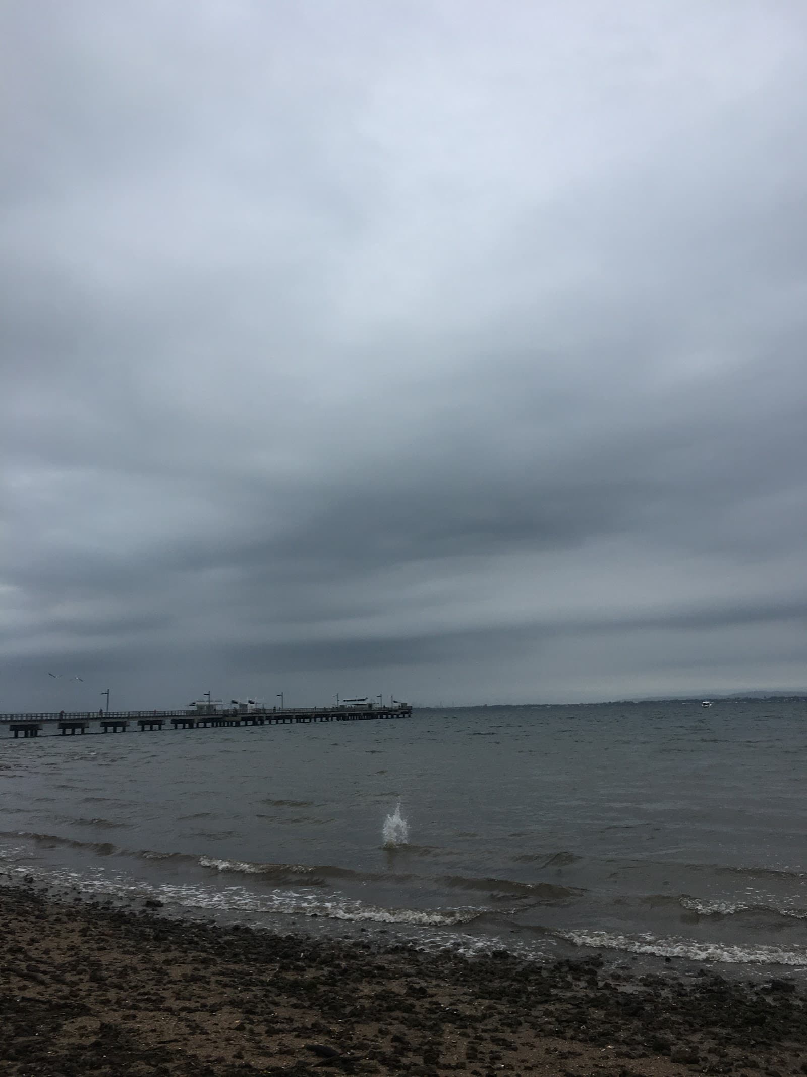 Woody Point Beach — Indooroopilly, Brisbane