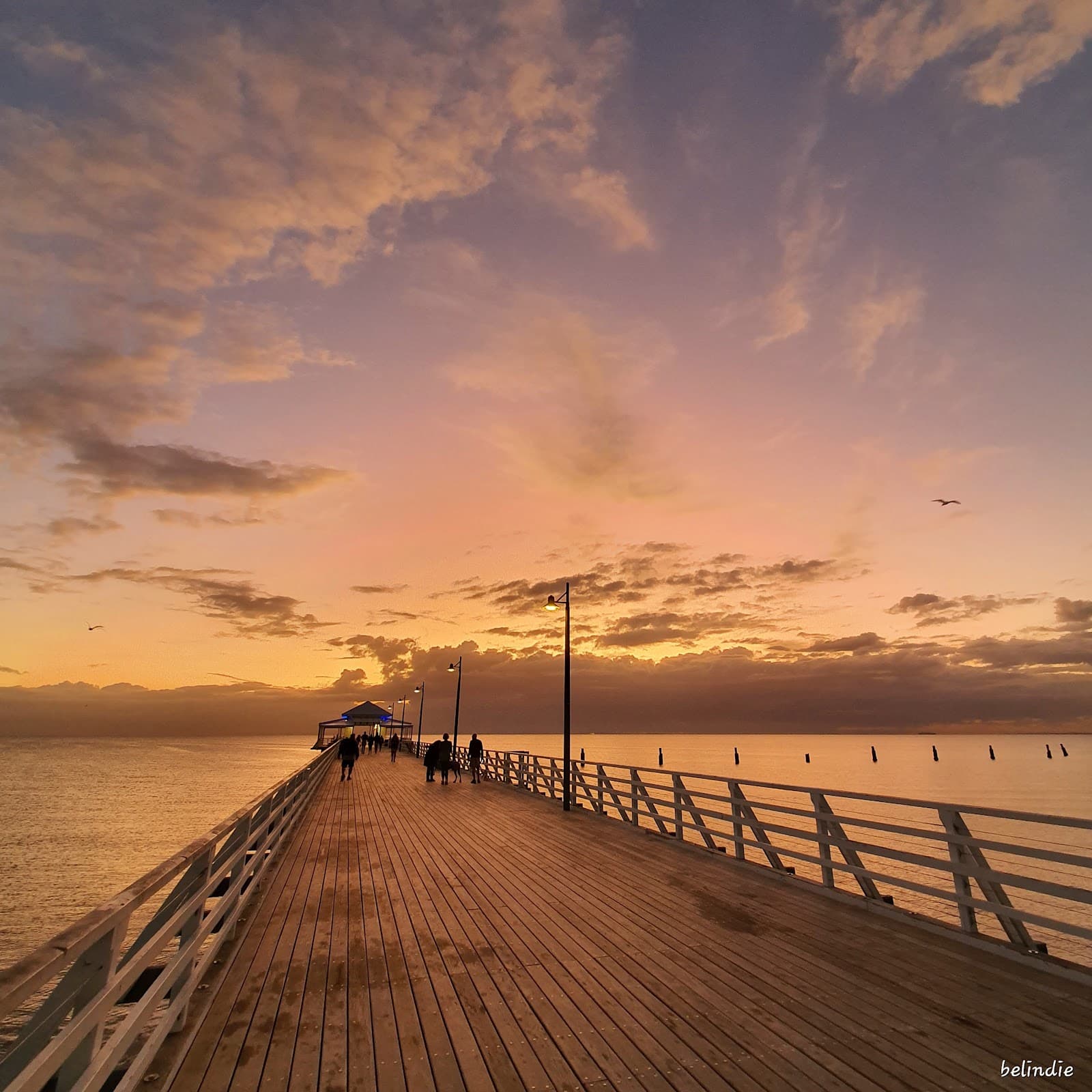 Shorncliffe Pier — Wynnum, Brisbane