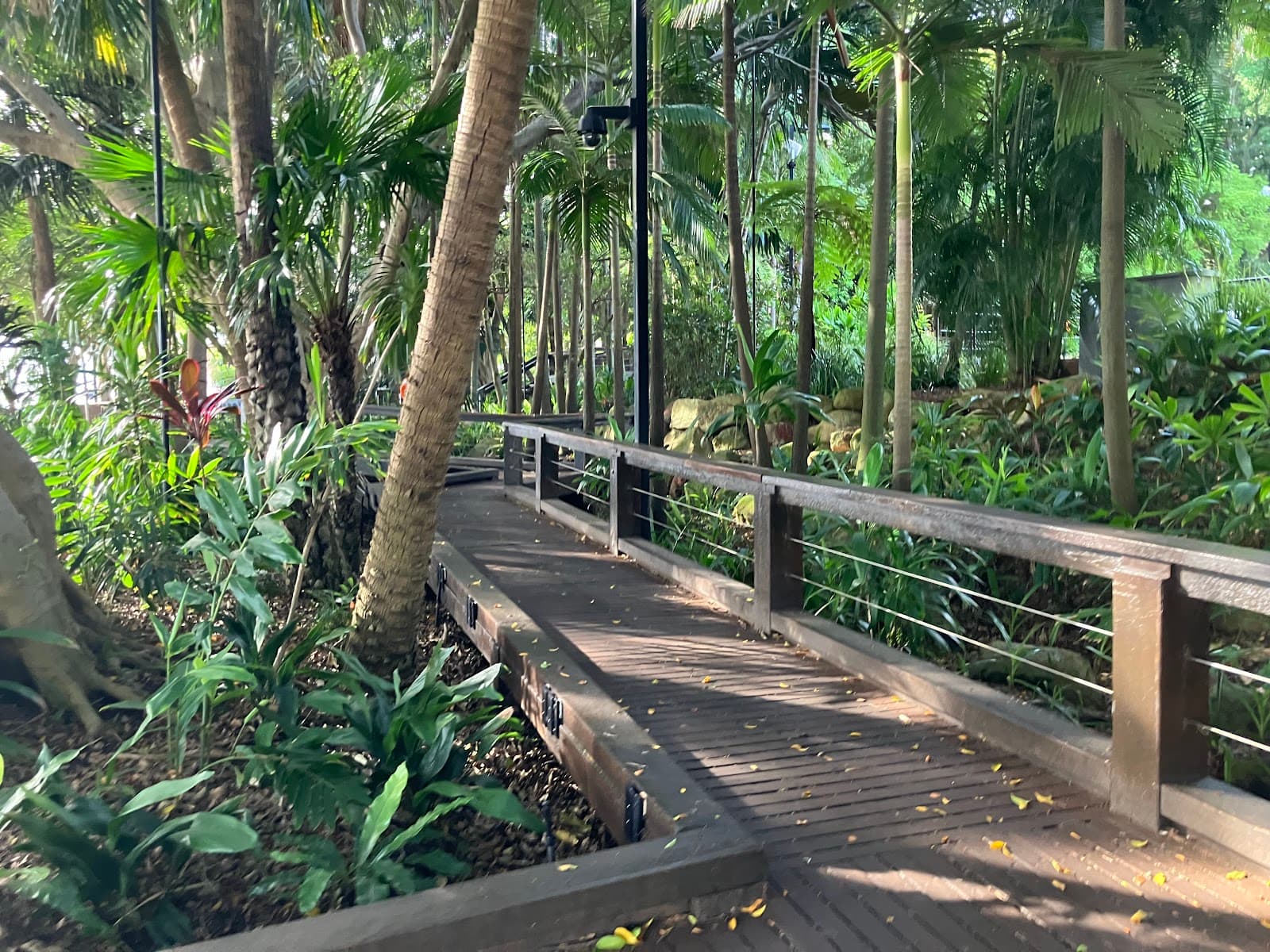Rainforest Green — South Bank, Brisbane