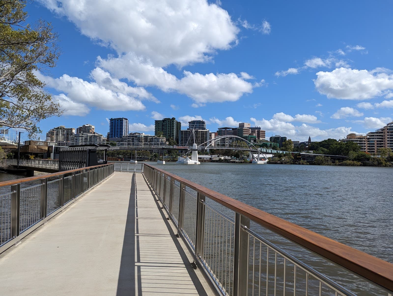 Mangrove Walk — Wynnum, Brisbane