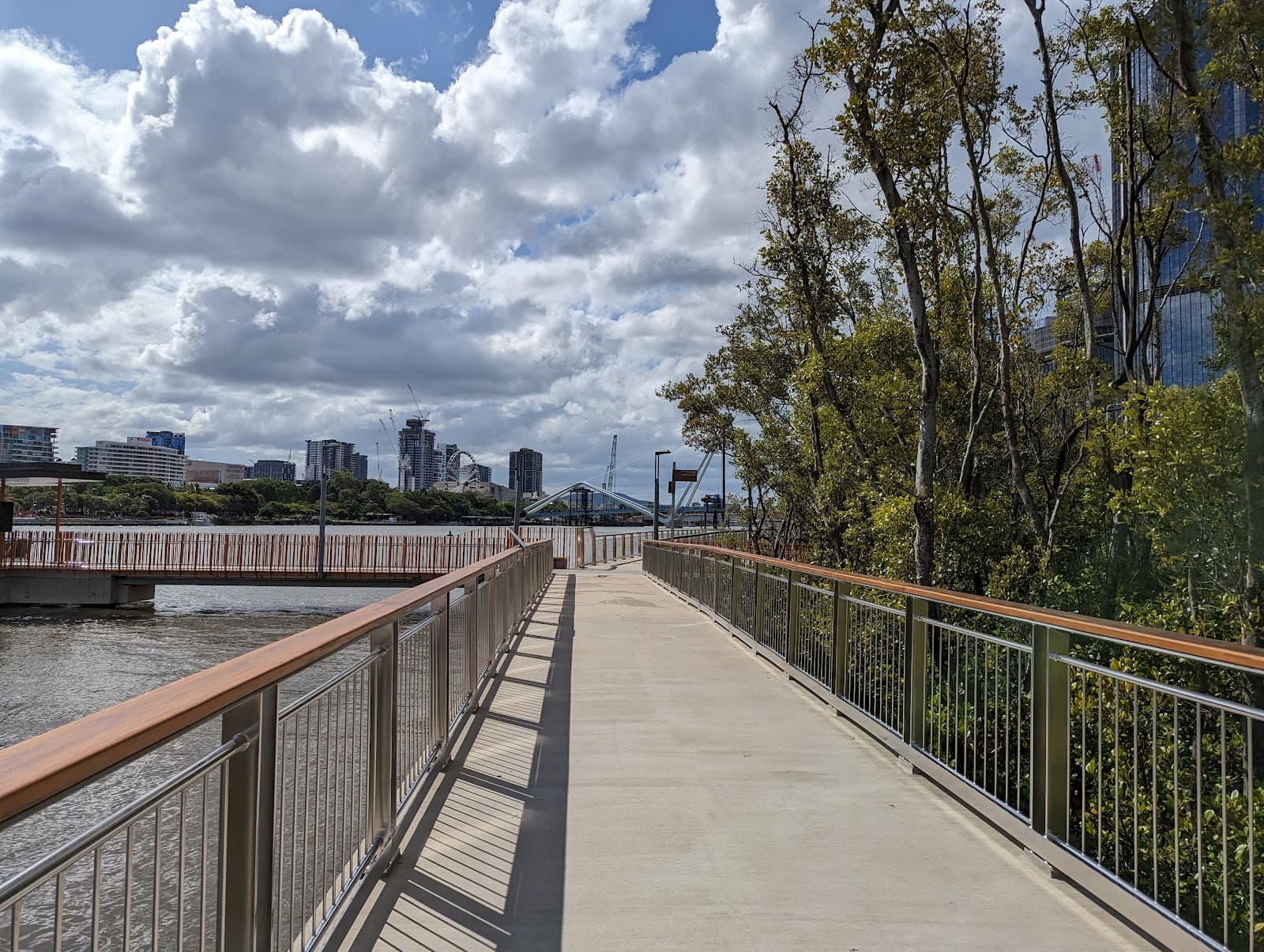 Mangrove Walk — Wynnum, Brisbane