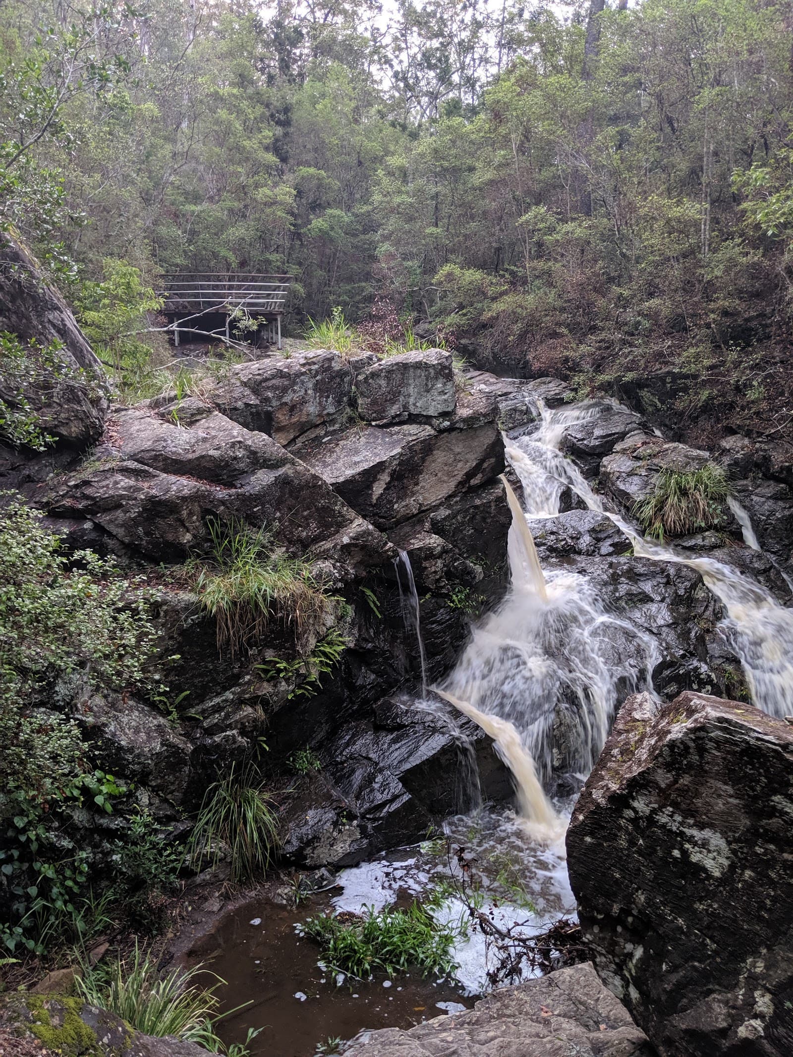 J.C. Slaughter Falls — Toowong, Brisbane