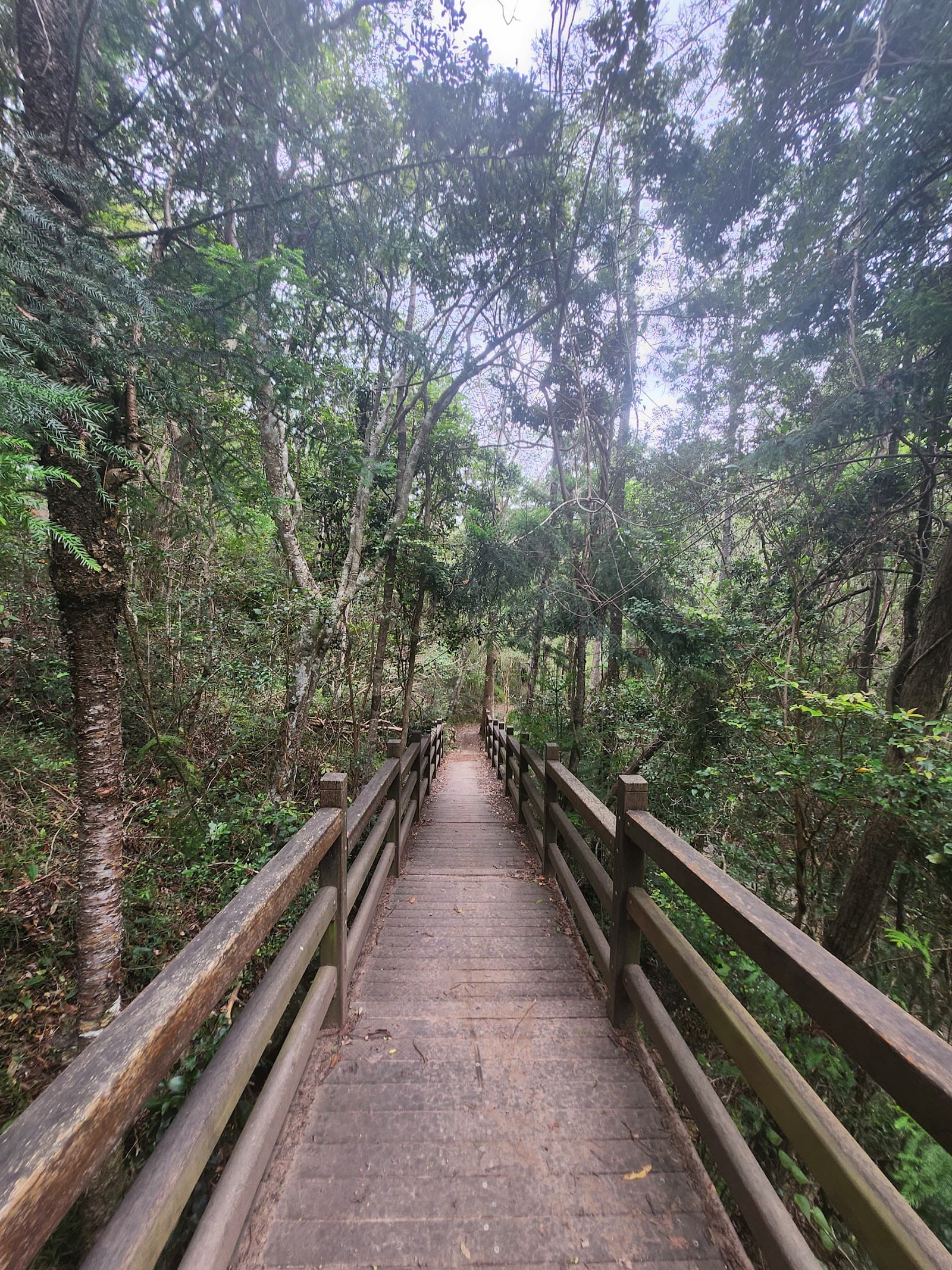 J.C. Slaughter Falls — Toowong, Brisbane