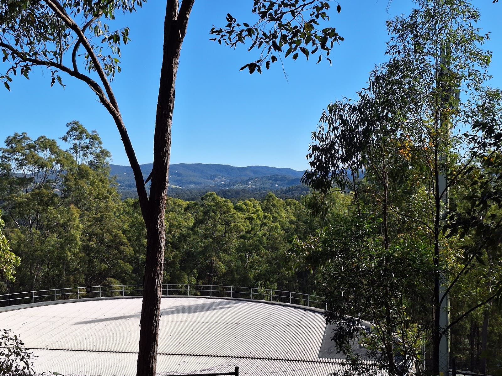 Honeyeater Hiking Track — Indooroopilly, Brisbane