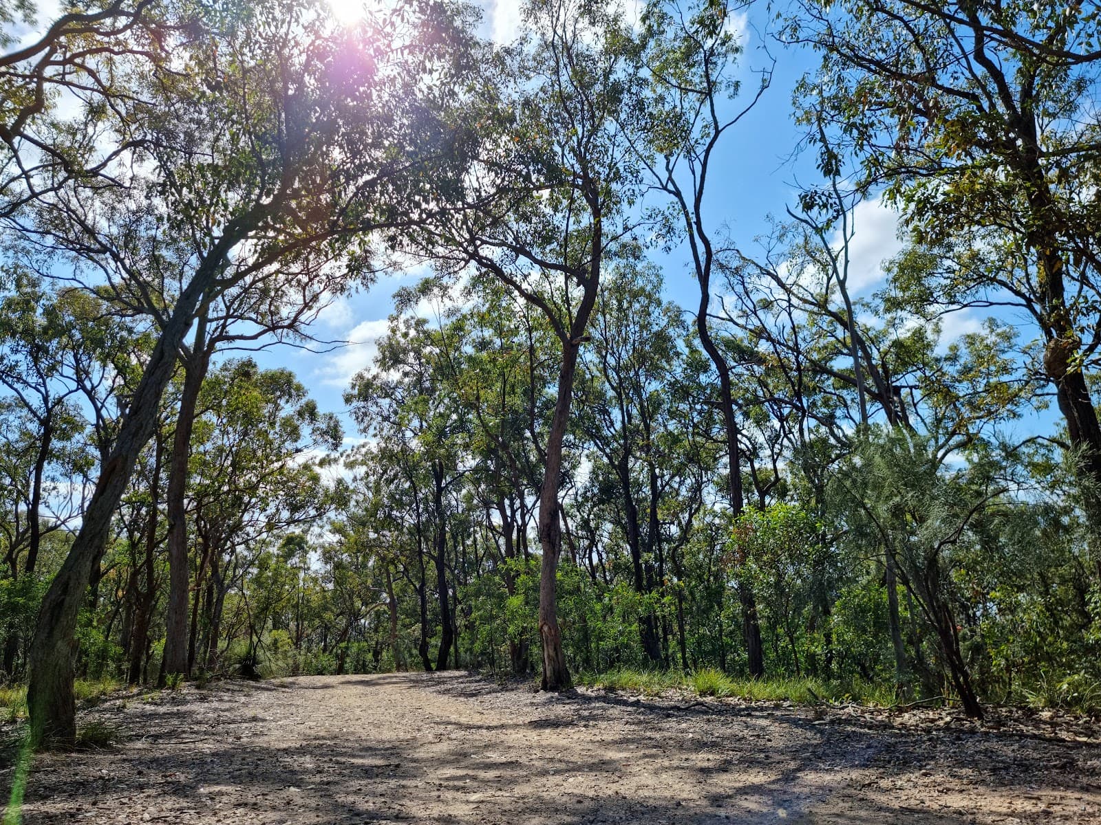 Seven Hills Bushland Reserve — Fortitude Valley, Brisbane
