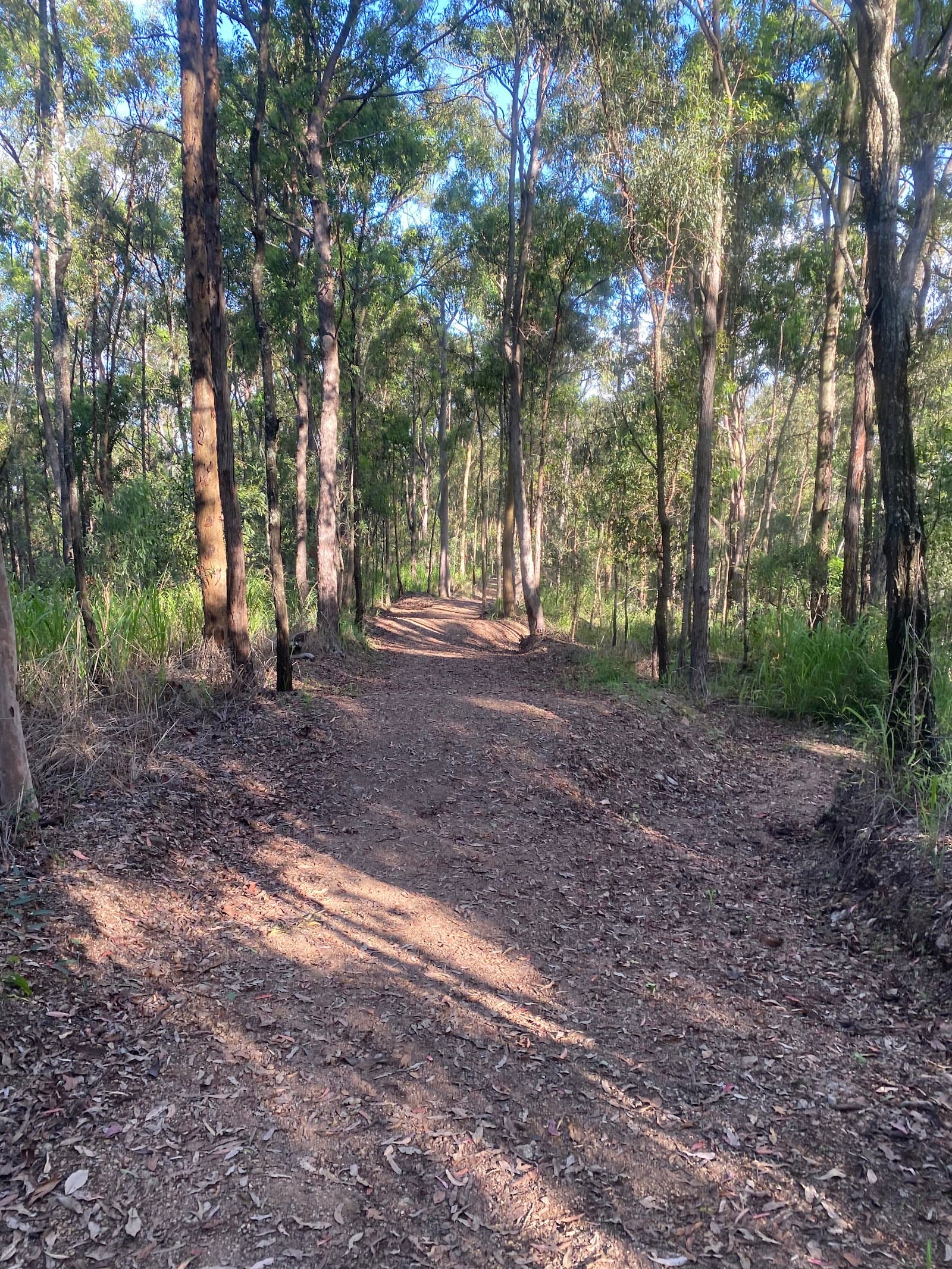 Spotted Gum Trail — Indooroopilly, Brisbane