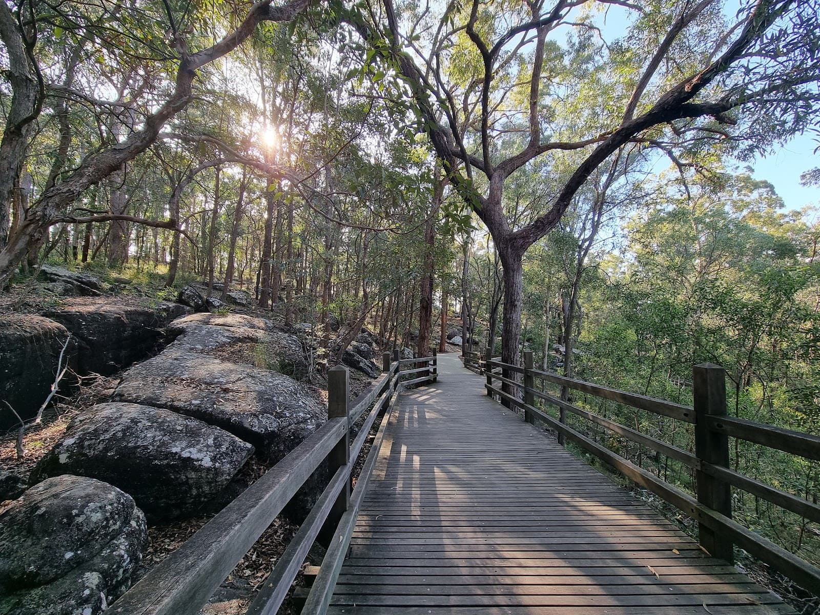 Toohey Forest Park — Indooroopilly, Brisbane