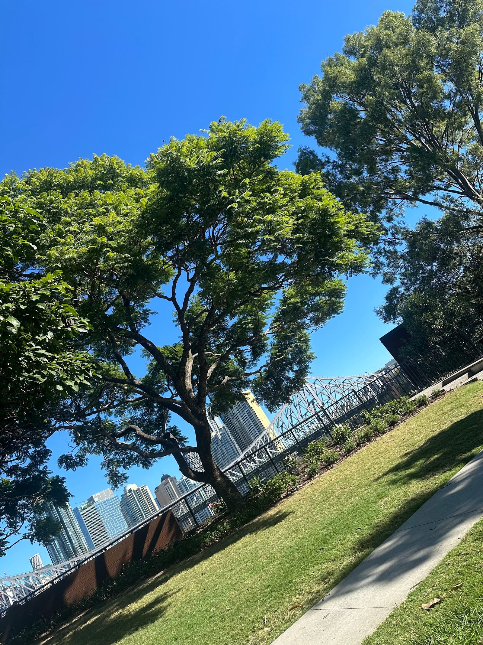 Bowen Terrace Lookout — New Farm, Brisbane