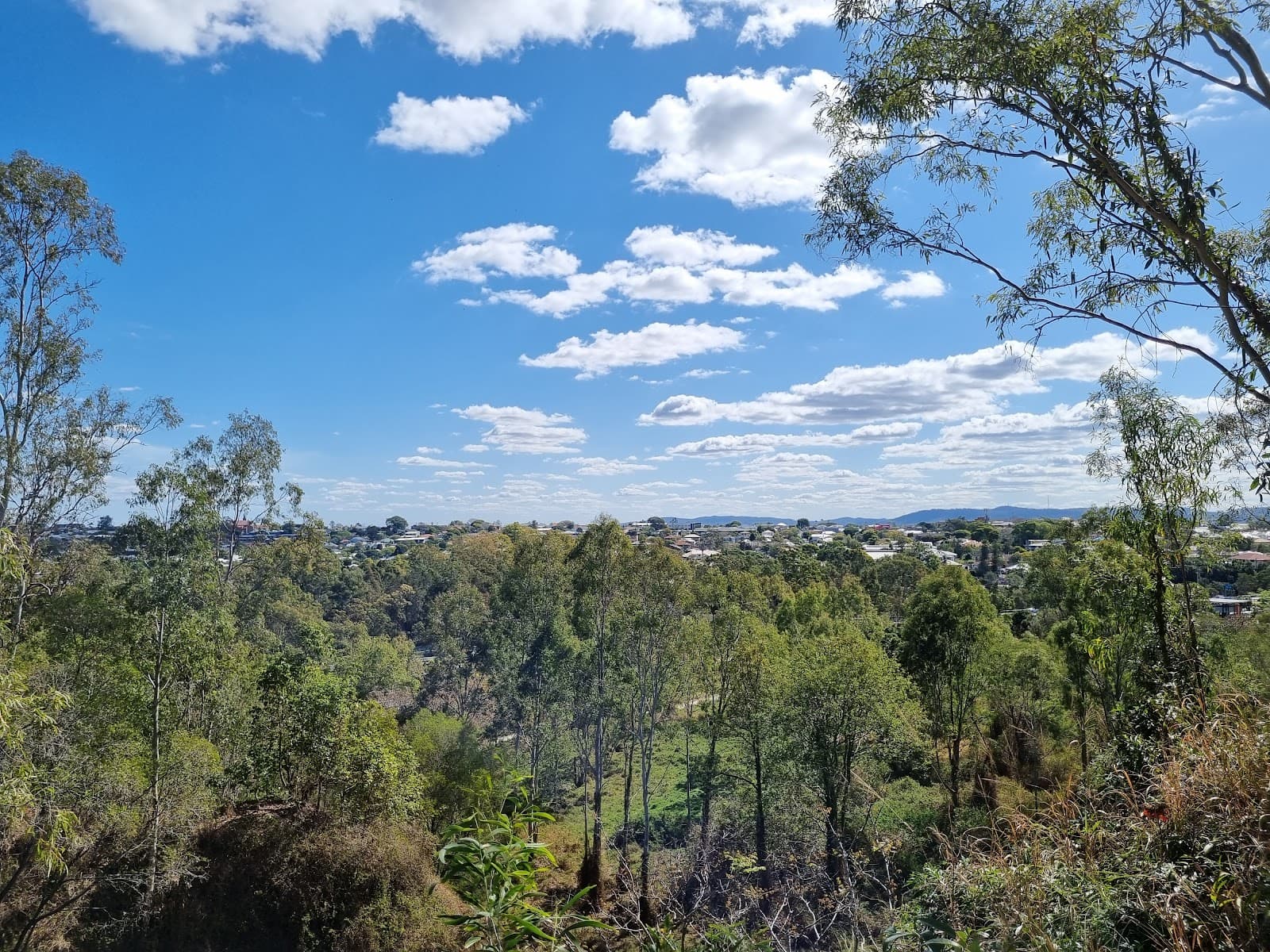 Stephens Mountain Reserve — Indooroopilly, Brisbane