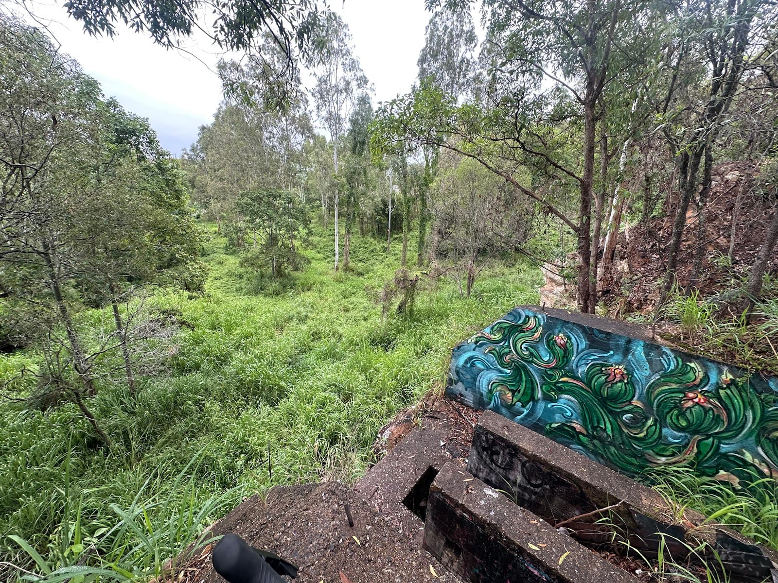 Stephens Mountain Reserve — Indooroopilly, Brisbane