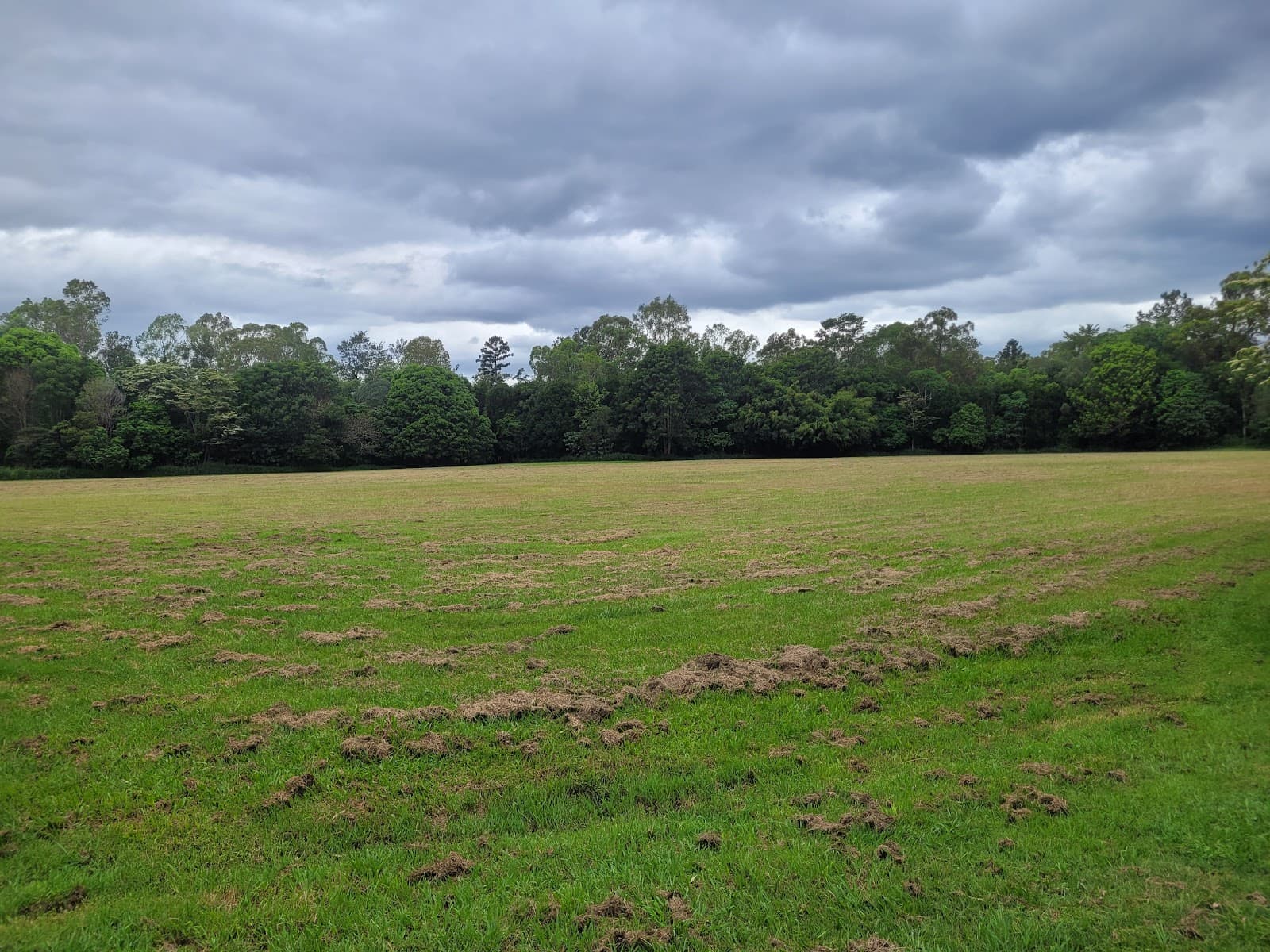 Banks Street Reserve — Paddington, Brisbane