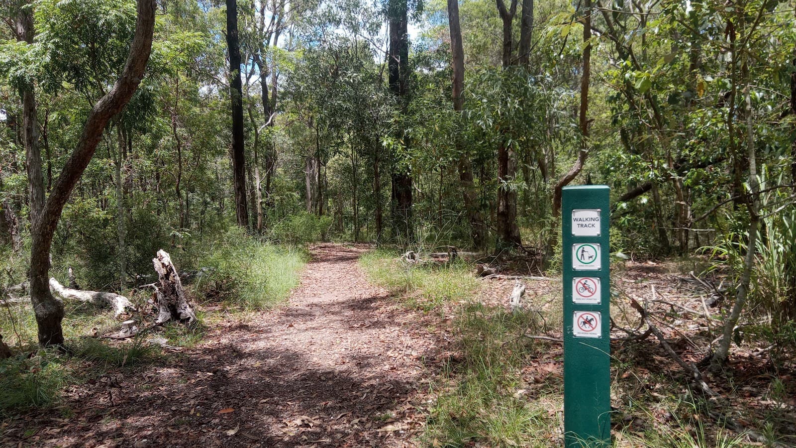 Banks Street Reserve — Paddington, Brisbane