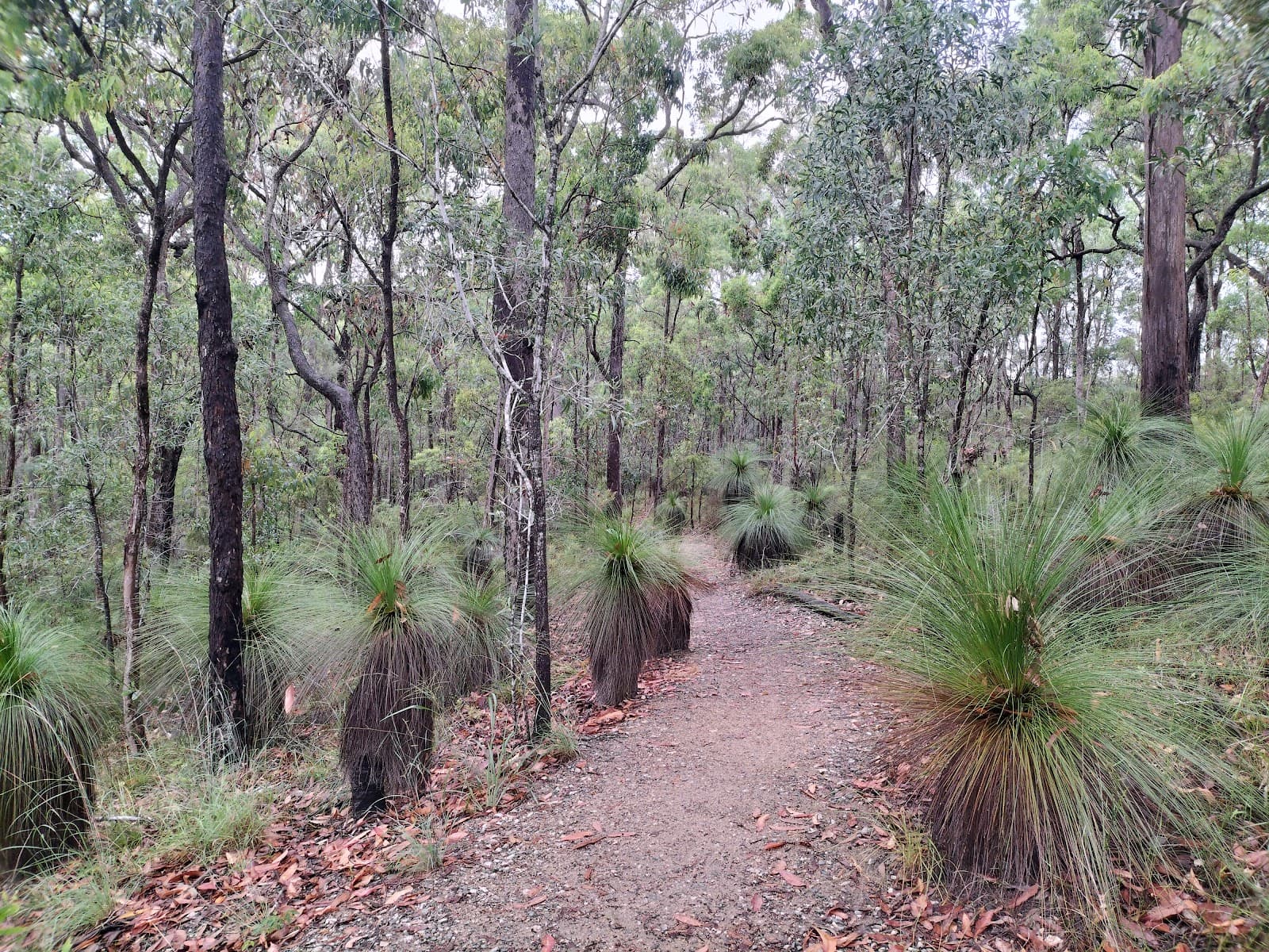 Chermside Hills Reserve — Chermside, Brisbane