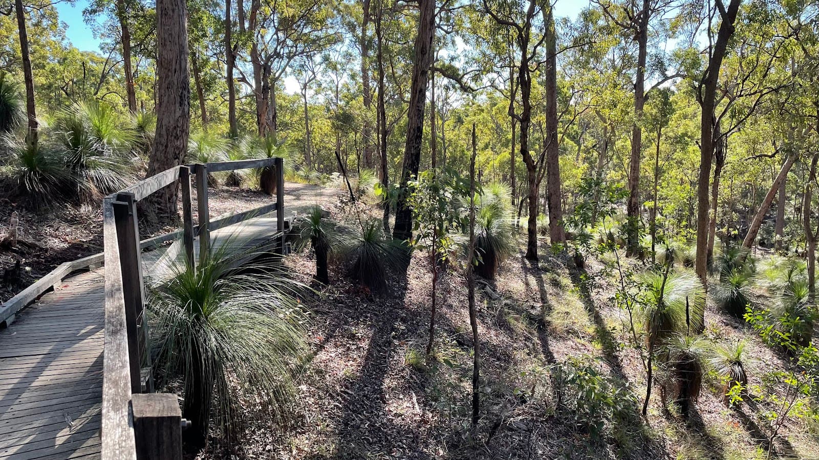 Chermside Hills Reserve — Chermside, Brisbane