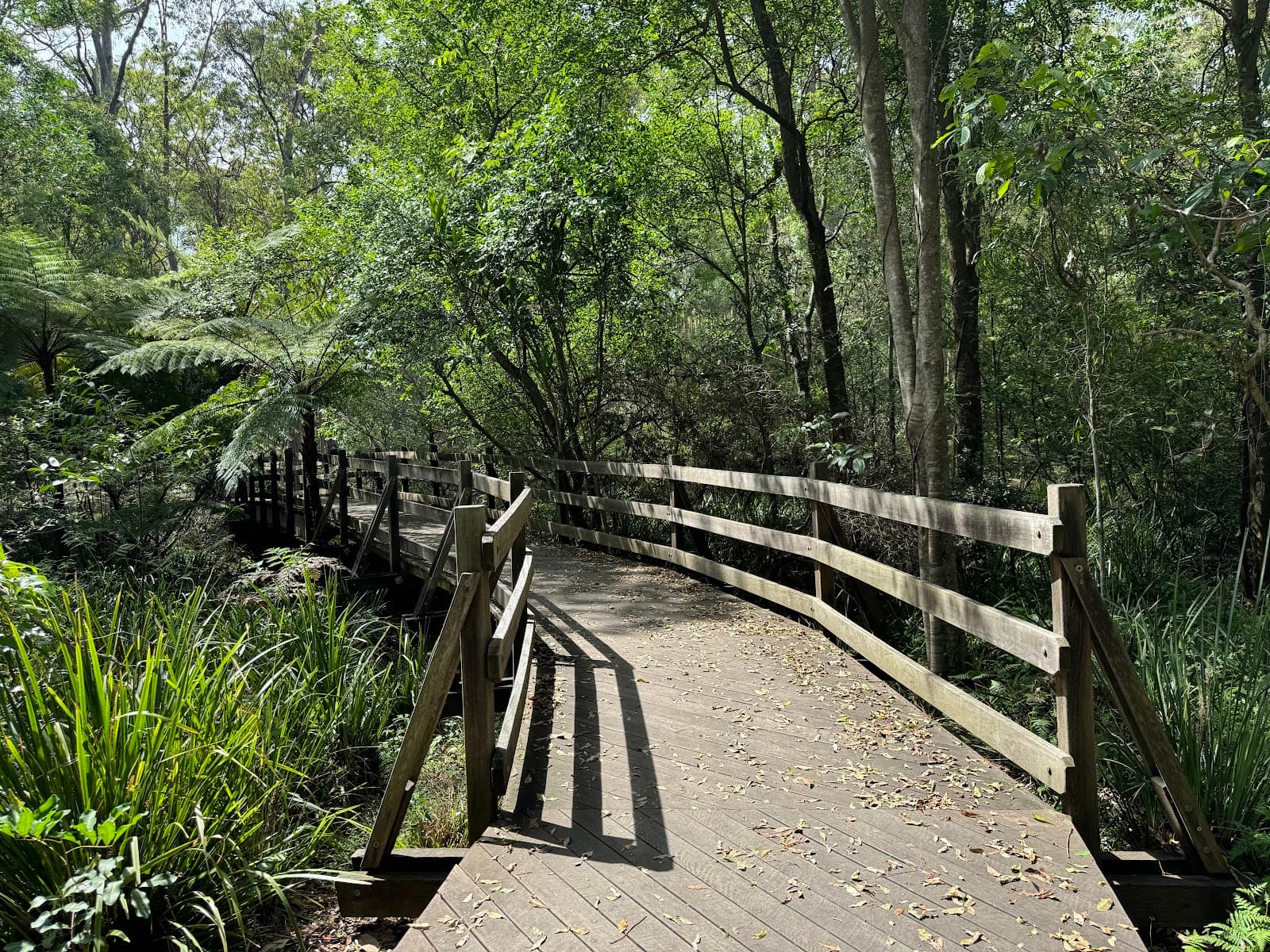 Chermside Hills Reserve — Chermside, Brisbane