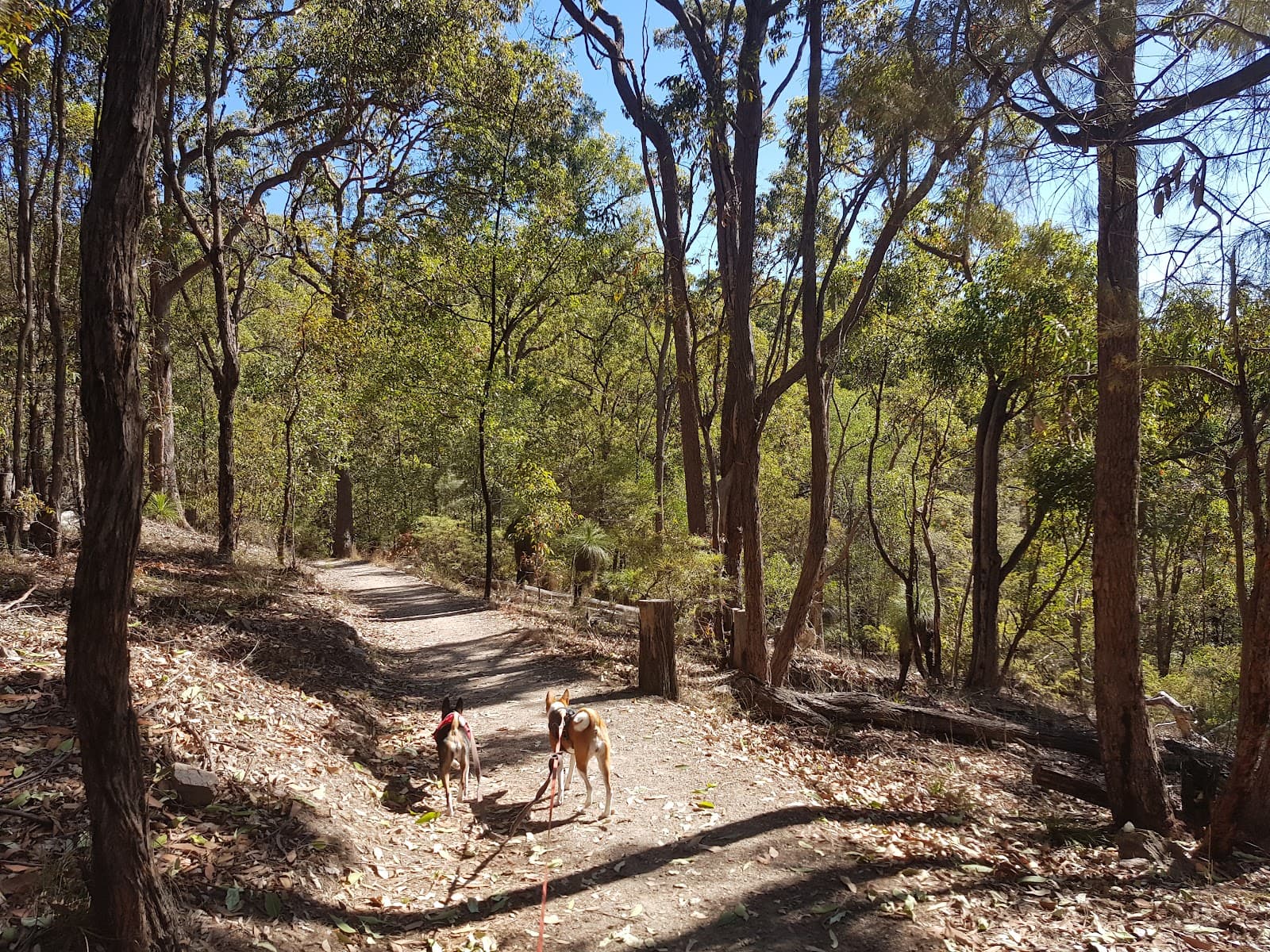 Milne Hill Reserve — Indooroopilly, Brisbane