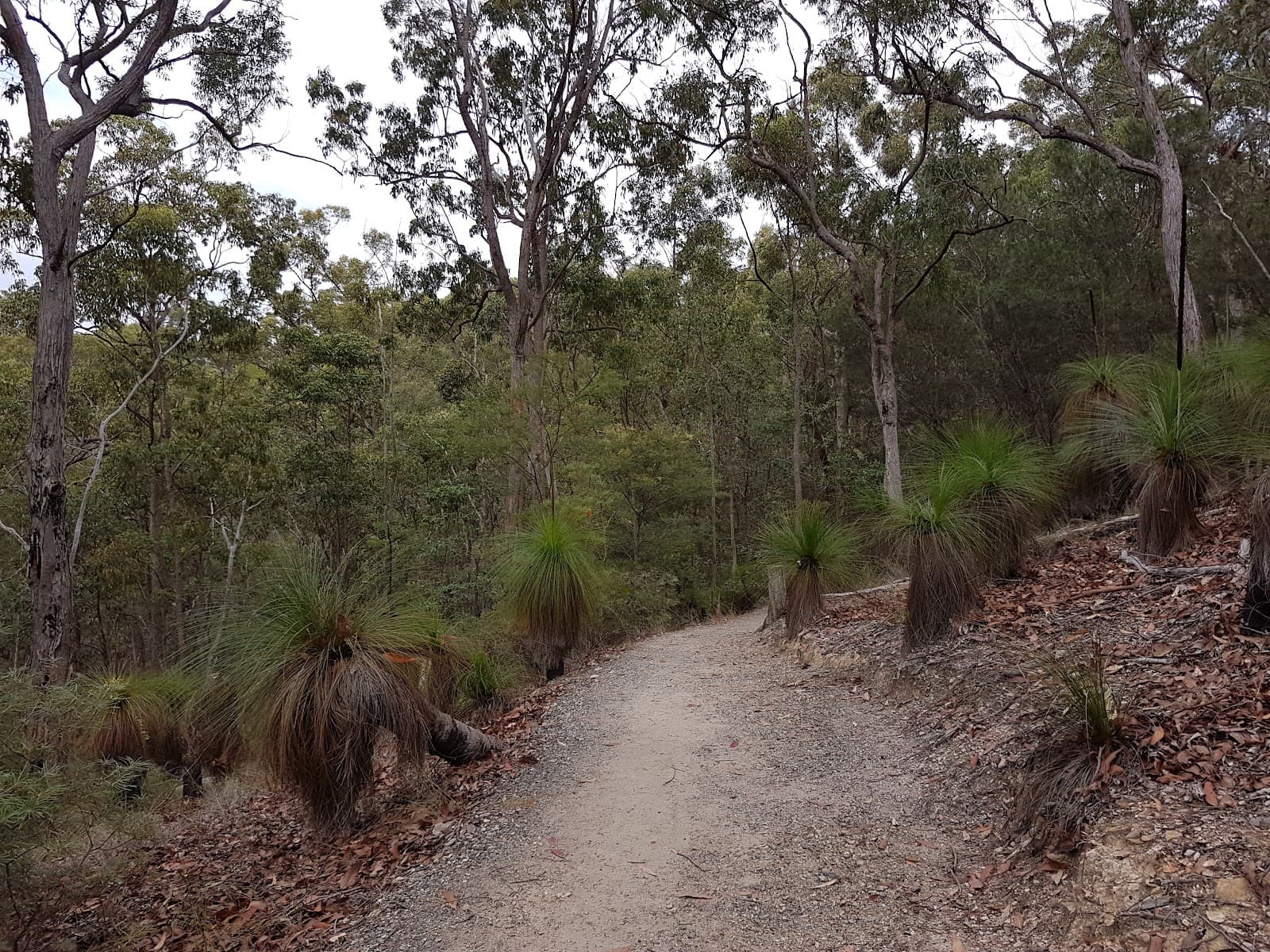 Milne Hill Reserve — Indooroopilly, Brisbane