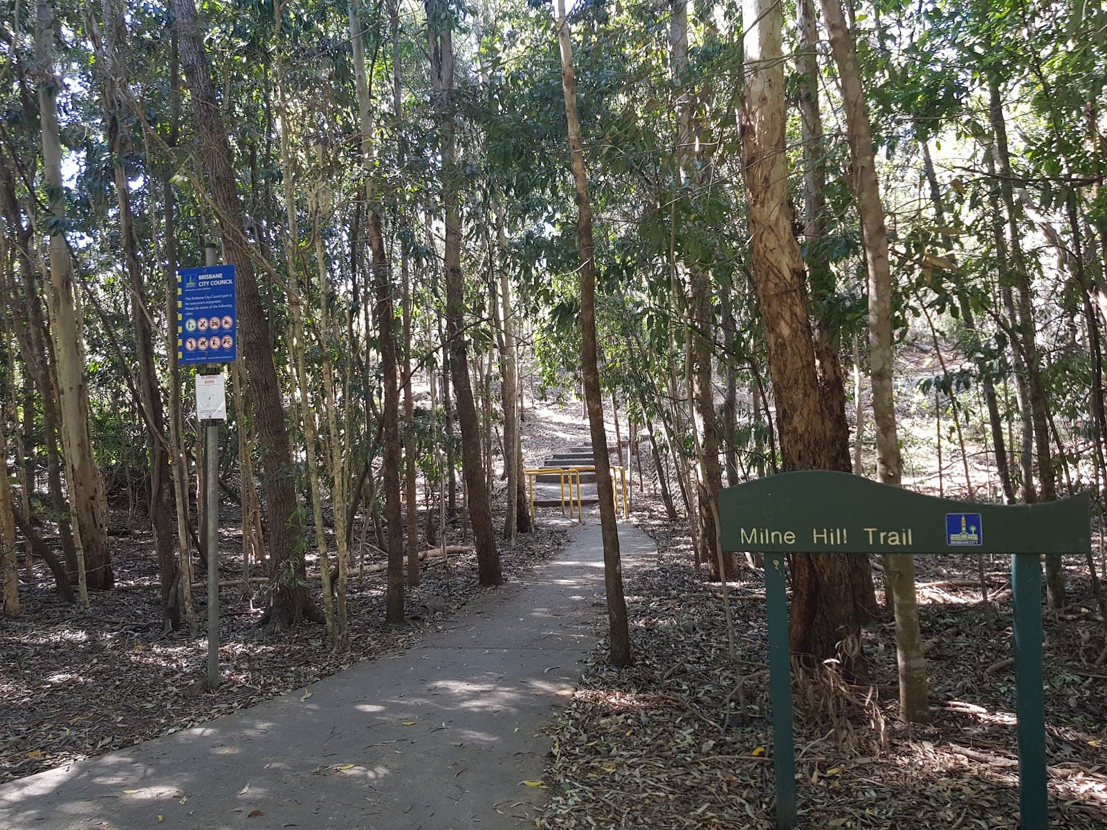 Milne Hill Reserve — Indooroopilly, Brisbane