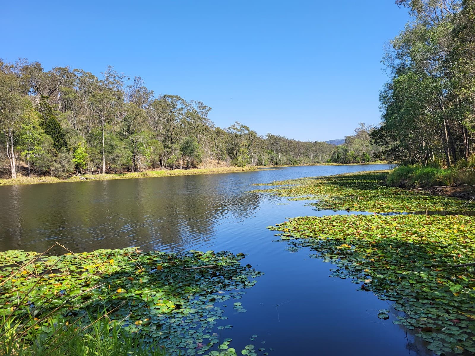 Walkabout Creek Discovery Centre — Paddington, Brisbane