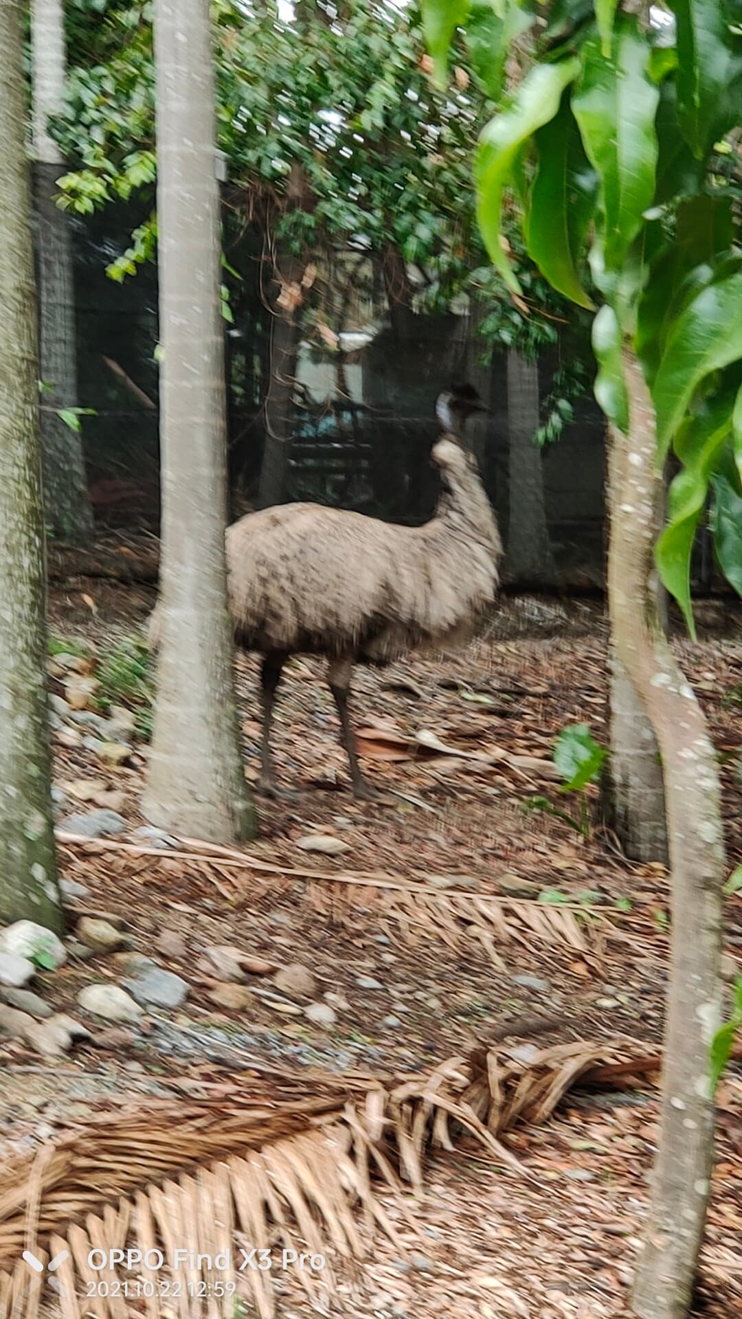 Walkabout Creek Discovery Centre — Paddington, Brisbane