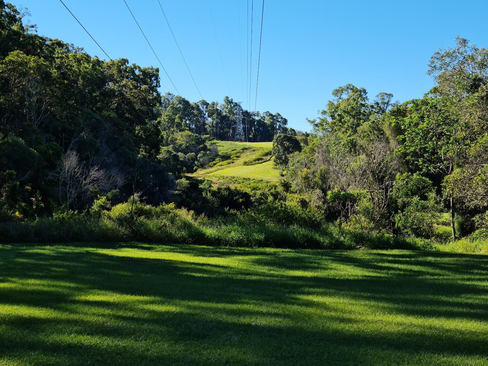 Bellbird Grove Walking Tracks — Paddington, Brisbane