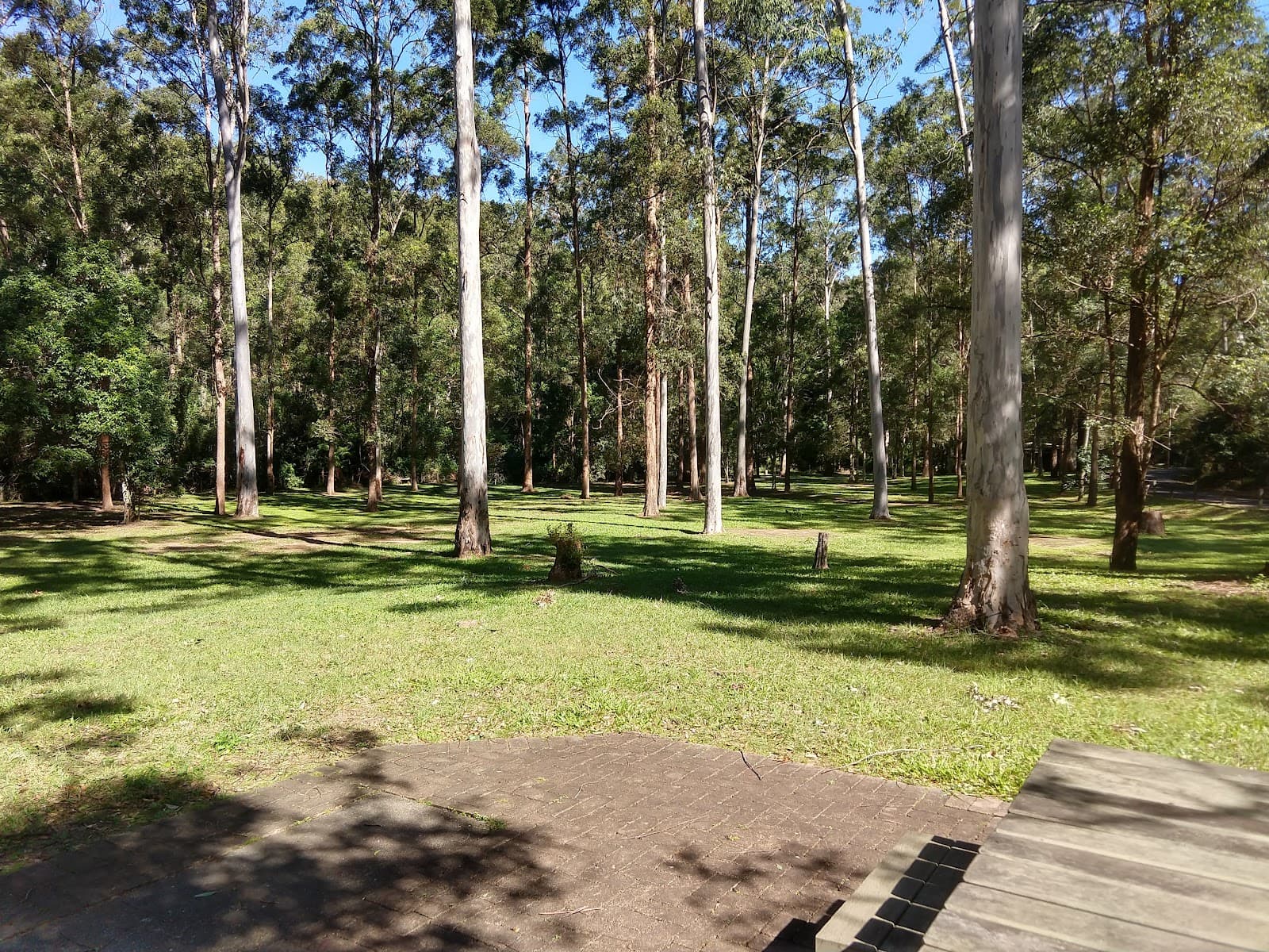 Bellbird Grove Walking Tracks — Paddington, Brisbane
