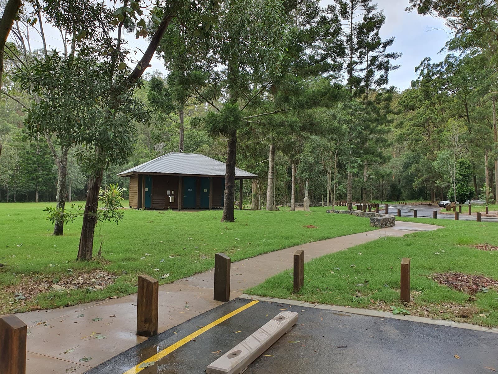 Bellbird Grove Walking Tracks — Paddington, Brisbane