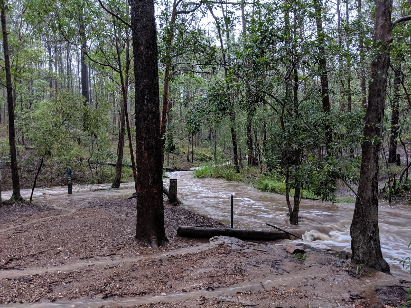 Bunyaville Conservation Park — Milton, Brisbane