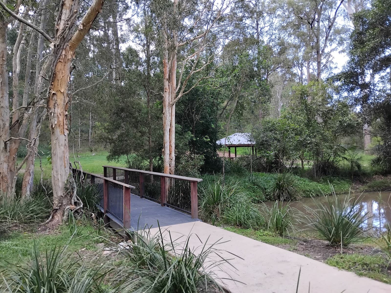 Bunyaville Conservation Park — Milton, Brisbane