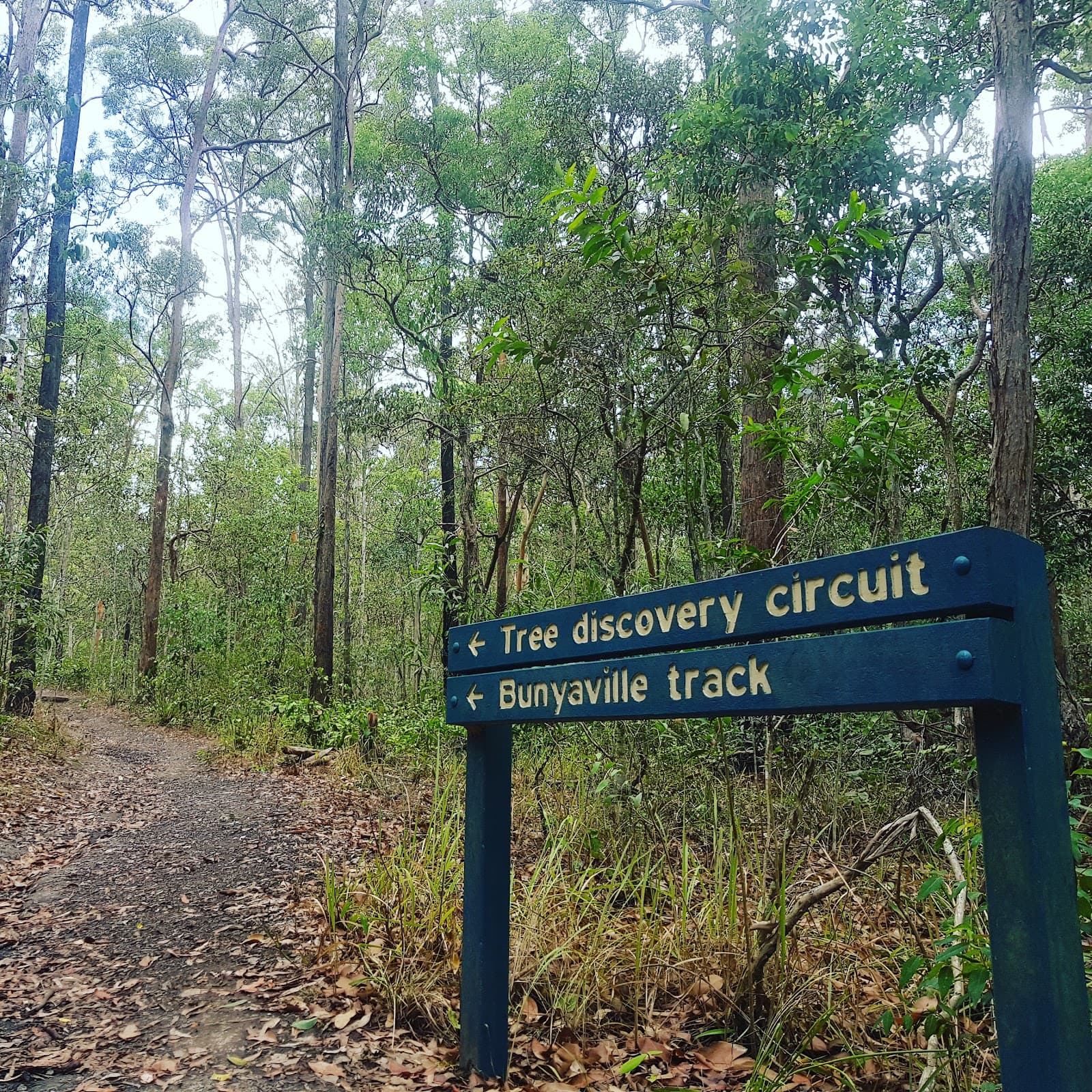 Bunyaville Conservation Park — Milton, Brisbane