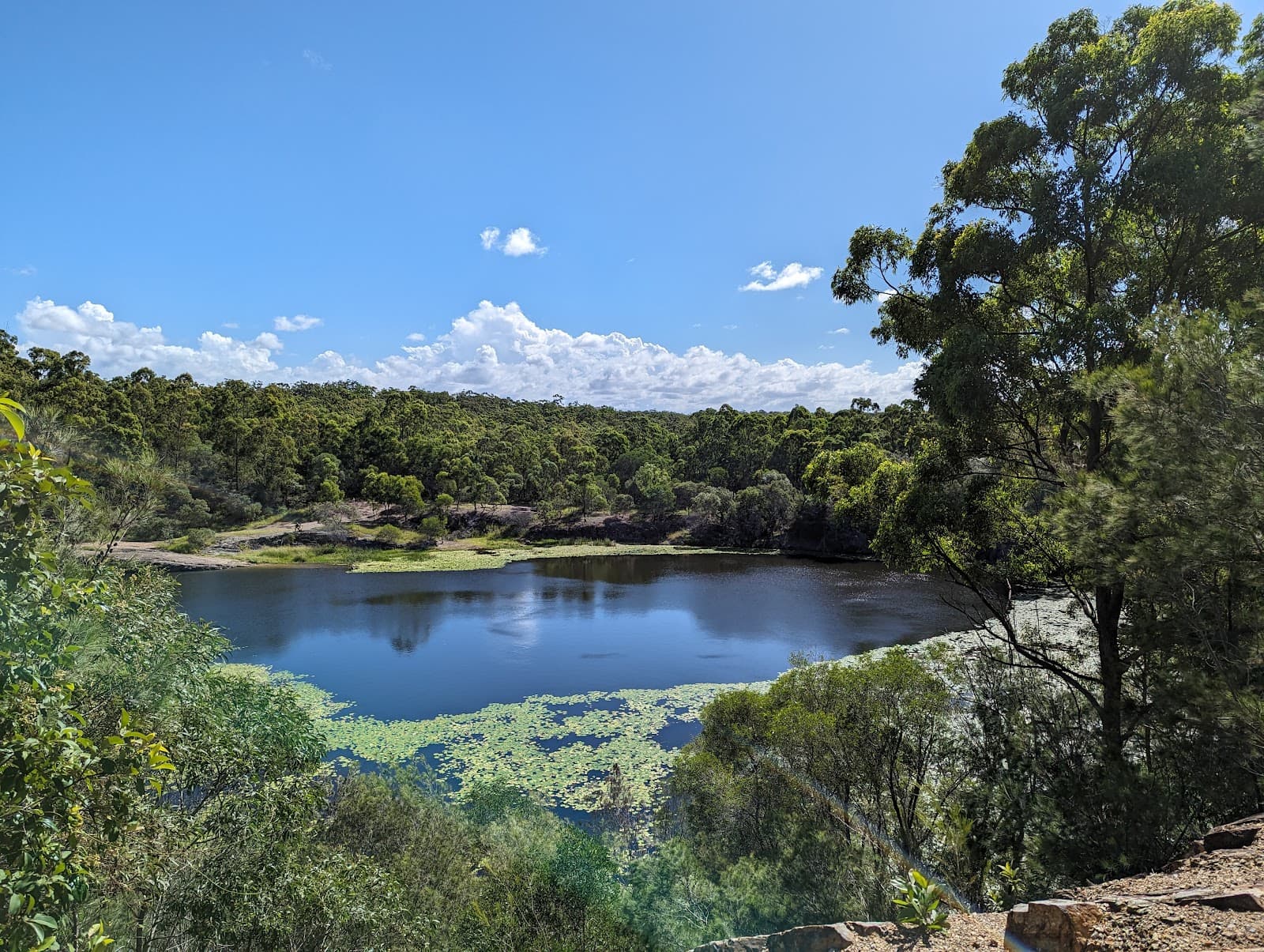 Daisy Hill Conservation Park — Milton, Brisbane