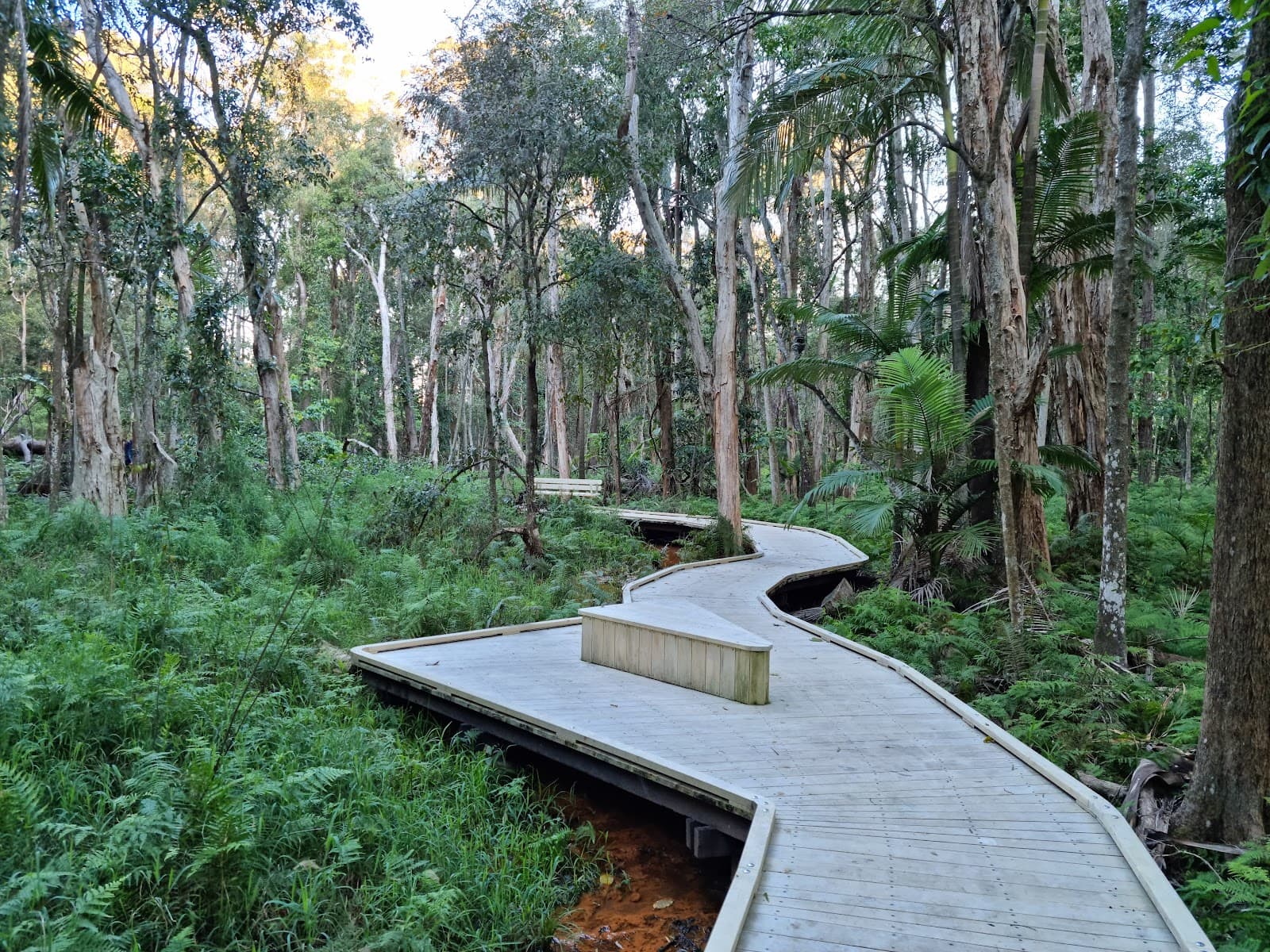 Daisy Hill Conservation Park — Milton, Brisbane